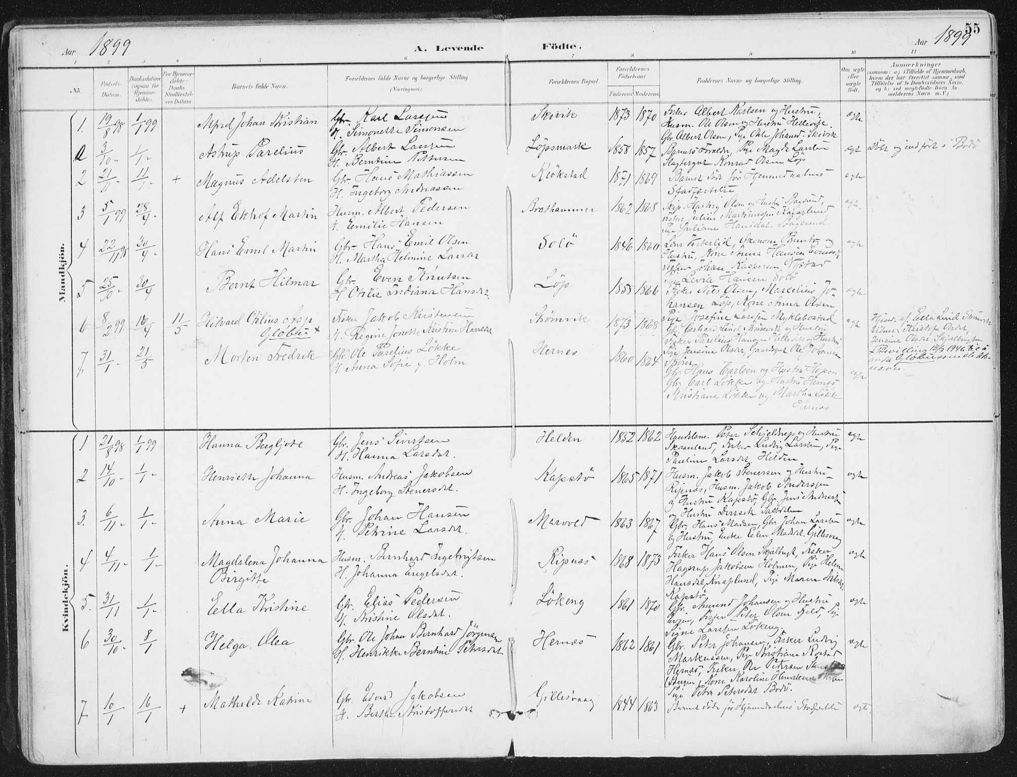 Ministerialprotokoller, klokkerbøker og fødselsregistre - Nordland, AV/SAT-A-1459/802/L0055: Parish register (official) no. 802A02, 1894-1915, p. 55