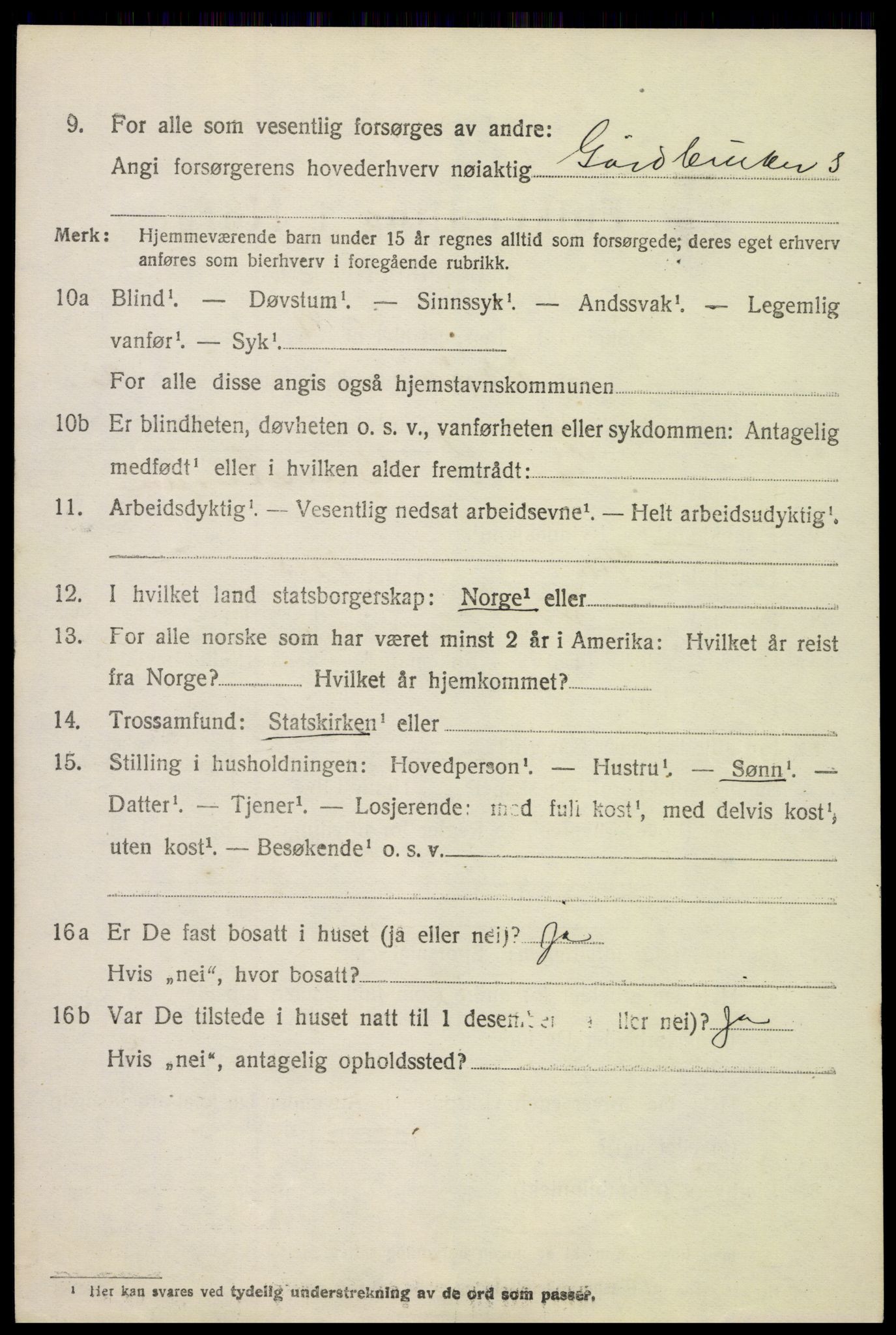 SAH, 1920 census for Skjåk, 1920, p. 1553