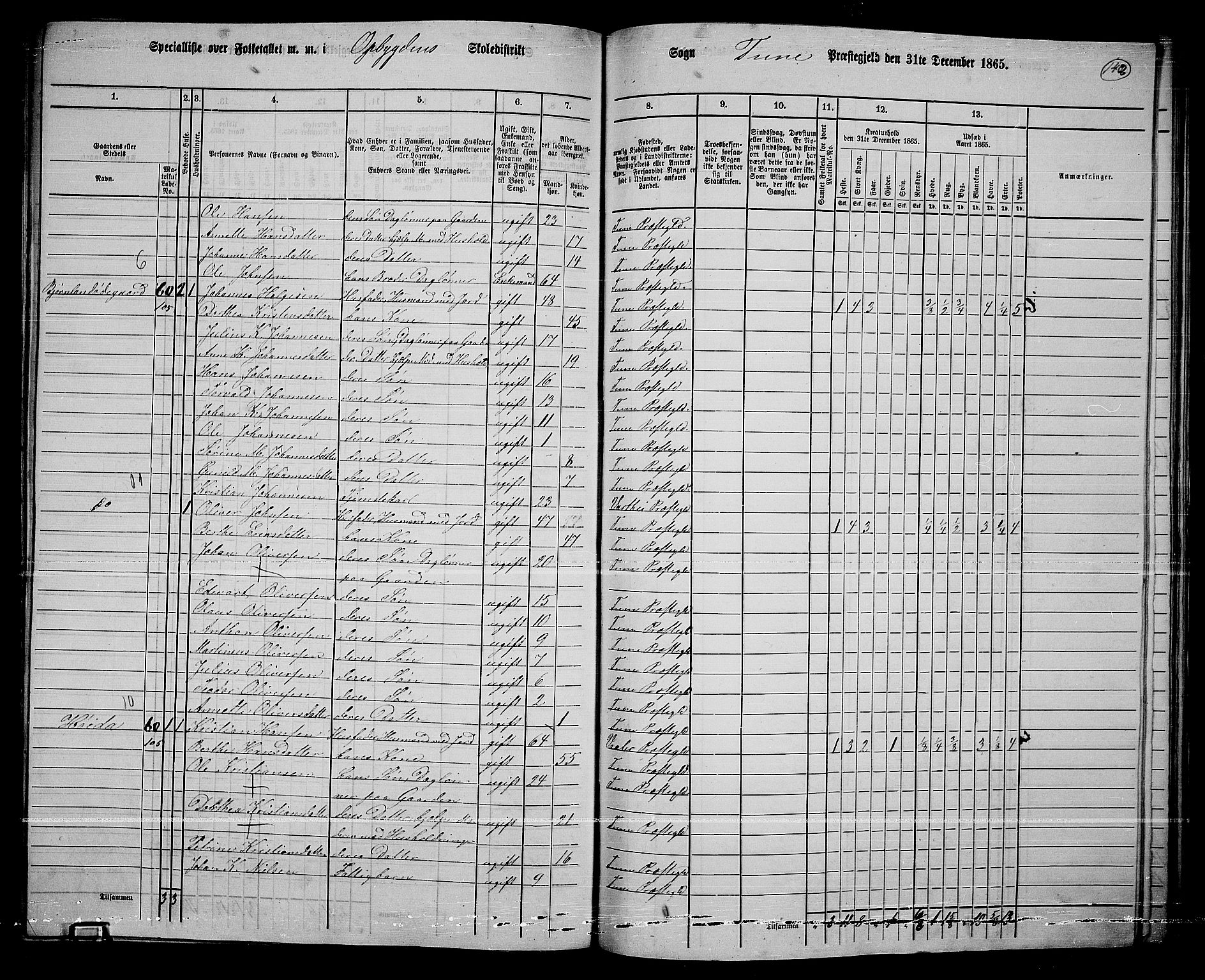 RA, 1865 census for Tune, 1865, p. 224