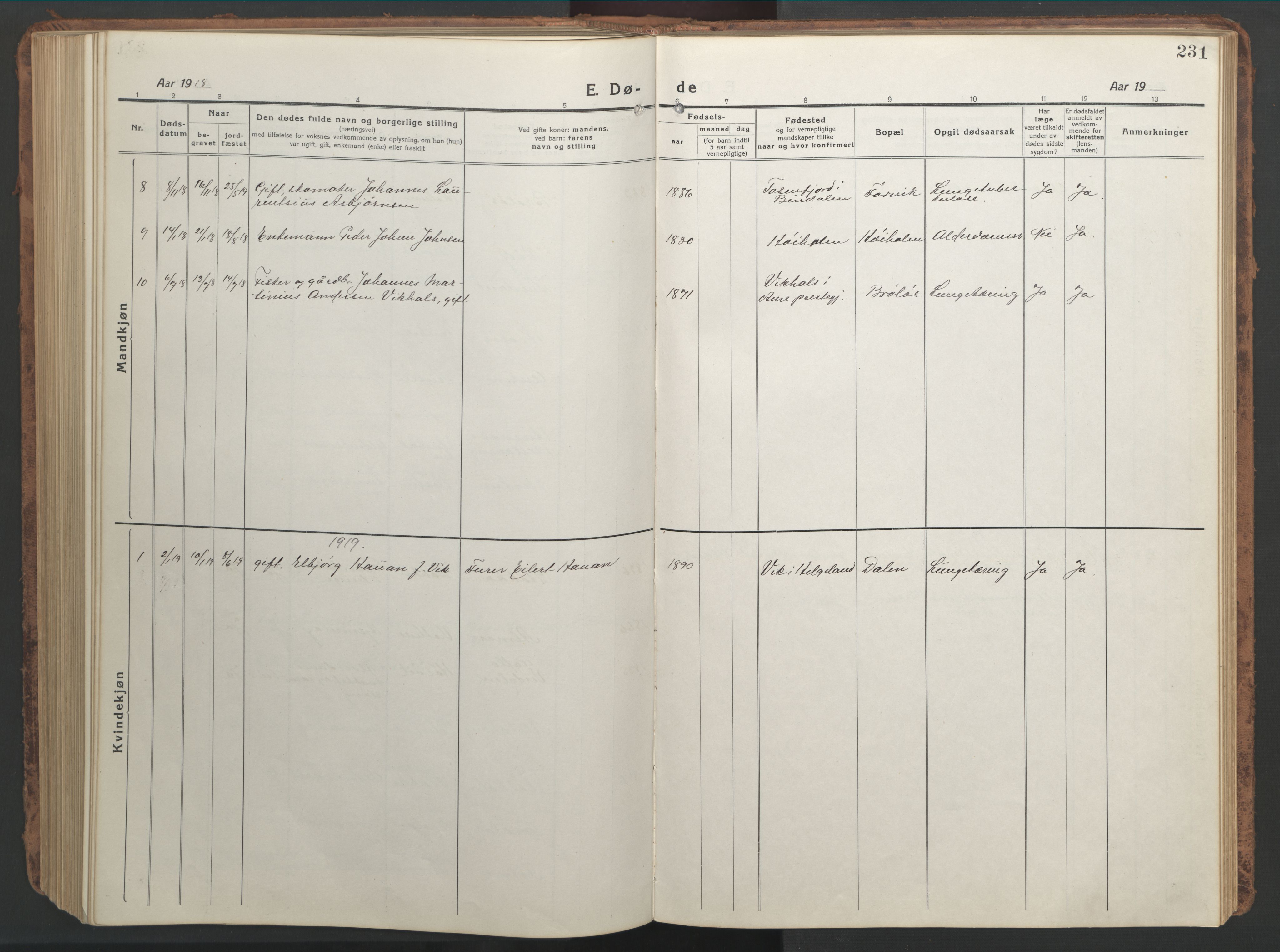 Ministerialprotokoller, klokkerbøker og fødselsregistre - Nordland, AV/SAT-A-1459/819/L0278: Parish register (copy) no. 819C04, 1917-1967, p. 231