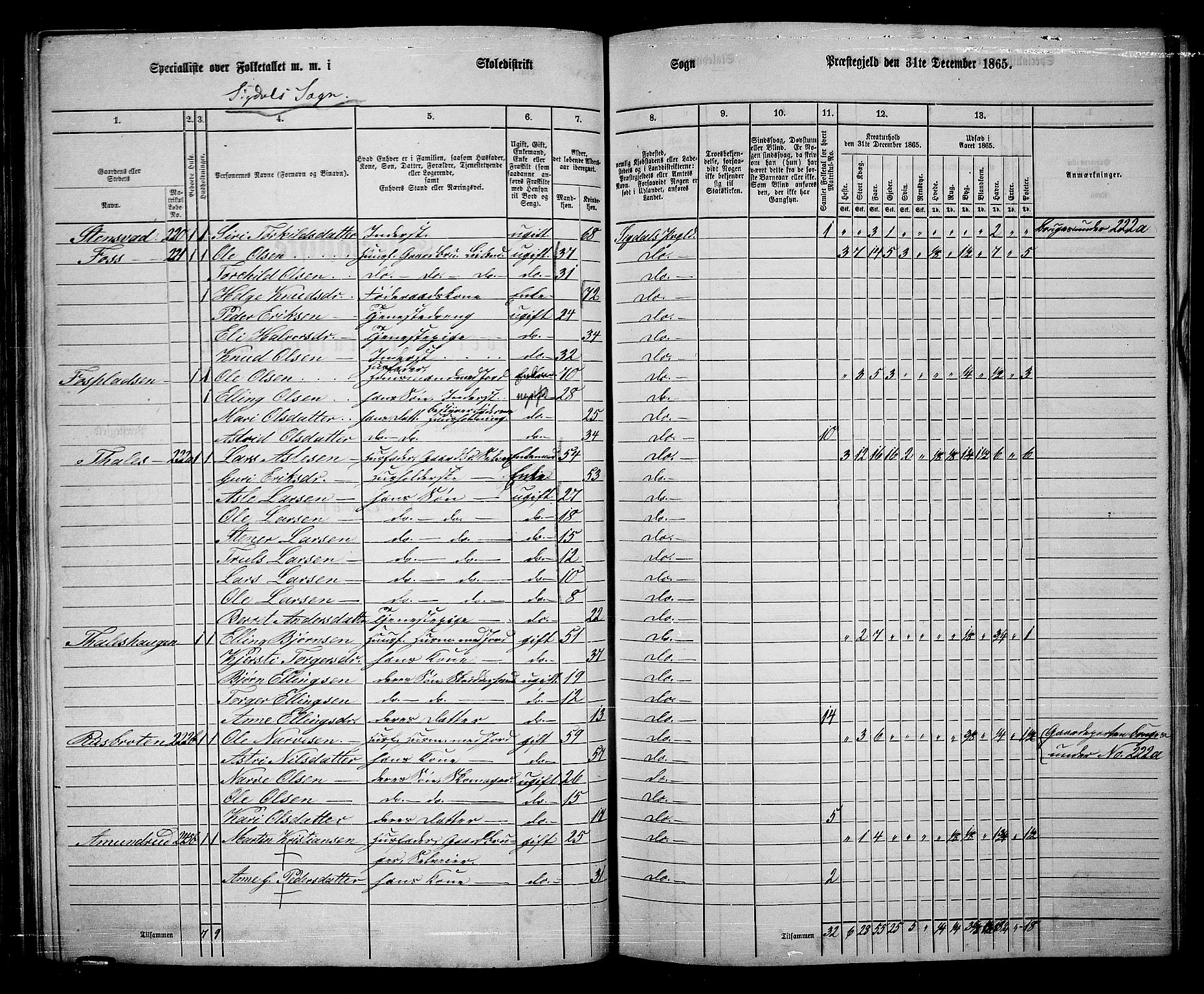 RA, 1865 census for Sigdal, 1865, p. 137