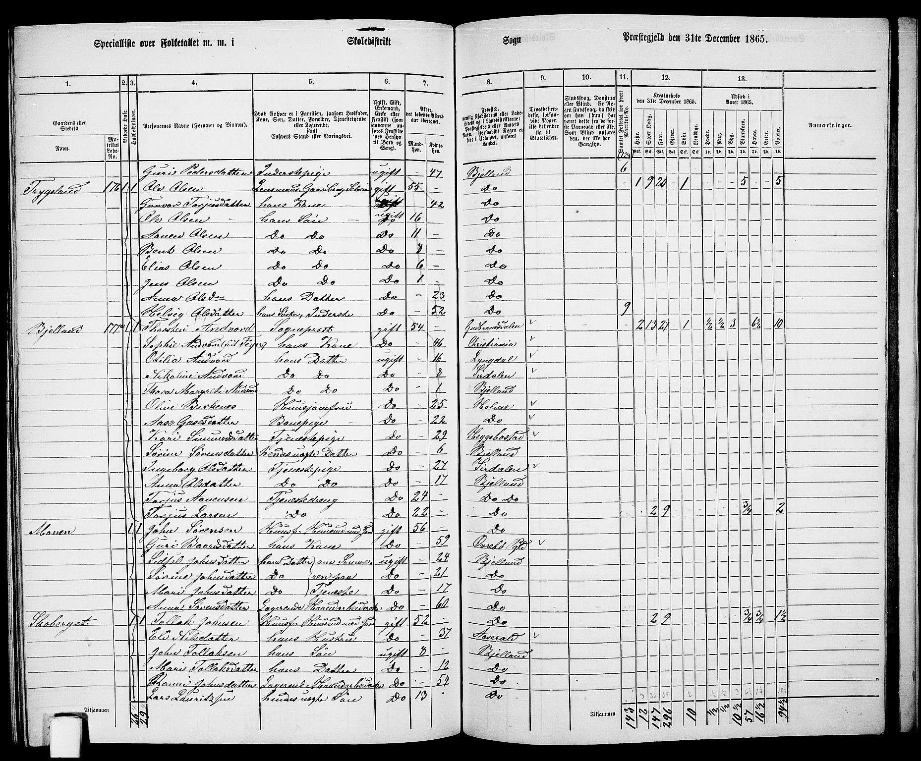 RA, 1865 census for Bjelland, 1865, p. 102