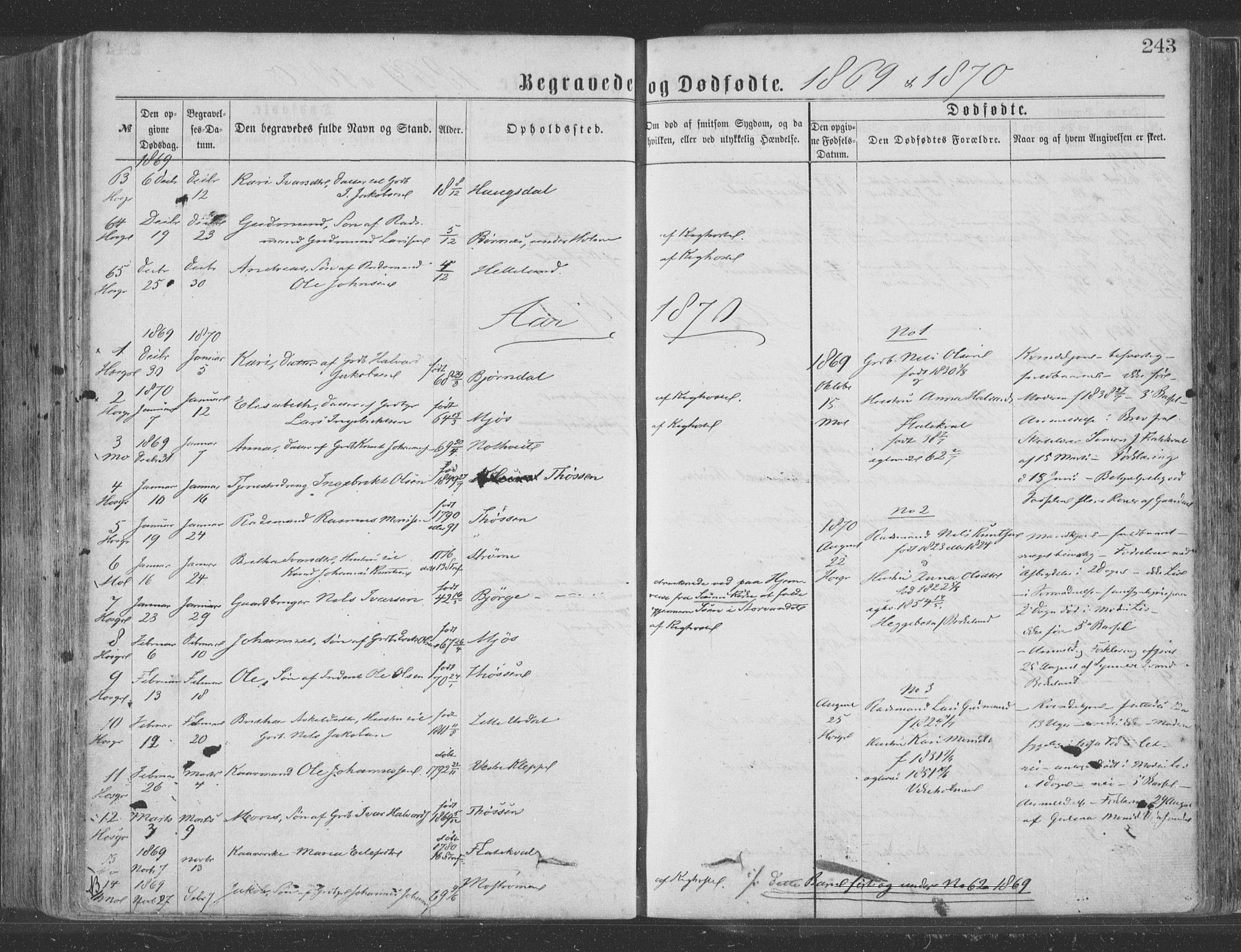 Hosanger sokneprestembete, AV/SAB-A-75801/H/Haa: Parish register (official) no. A 9, 1864-1876, p. 243