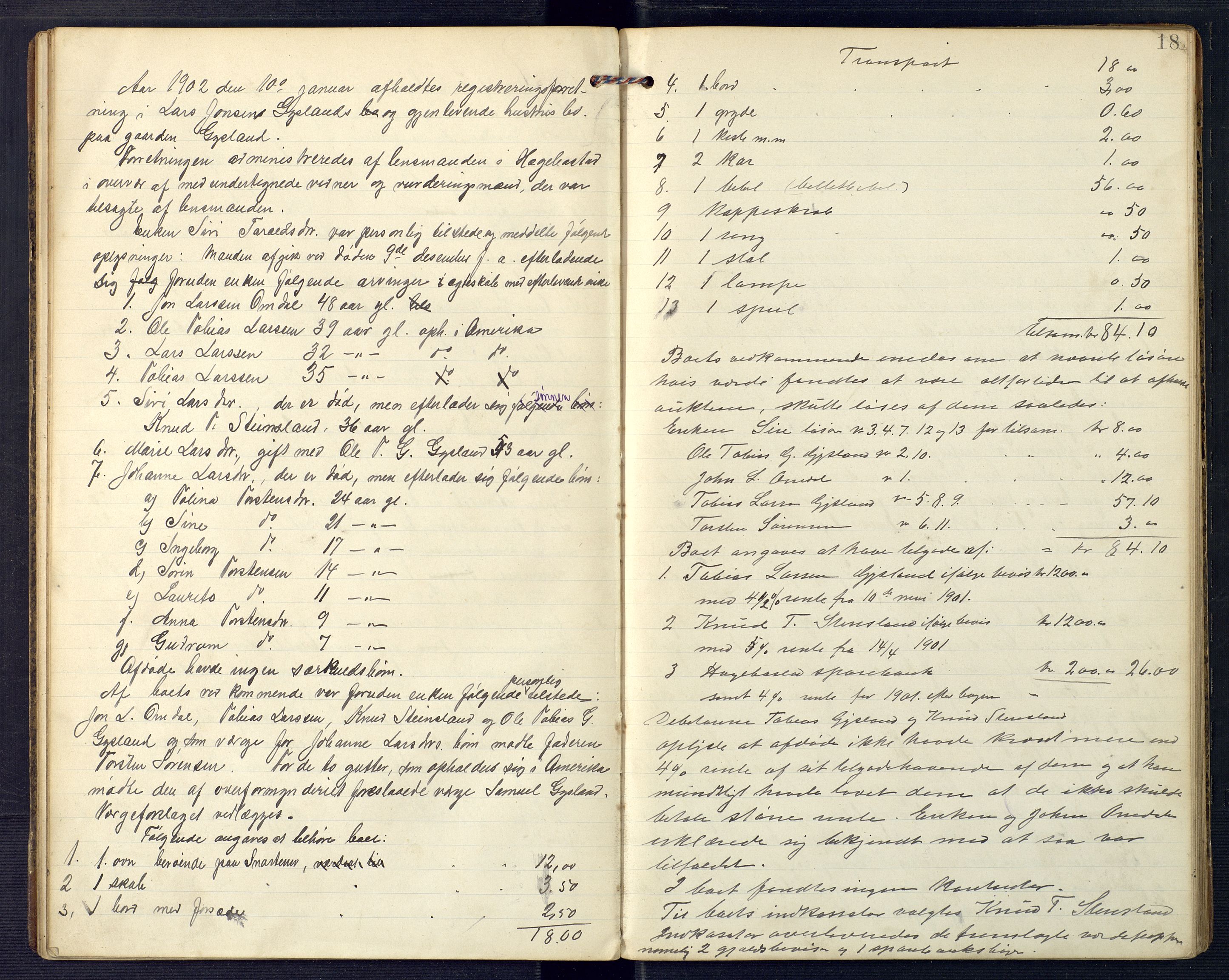 Lyngdal sorenskriveri, AV/SAK-1221-0004/H/Hc/L0862: Skifteregistreringsprotokoll nr. 12, Hægebostad tinglag, 1898-1905, p. 17b-18a