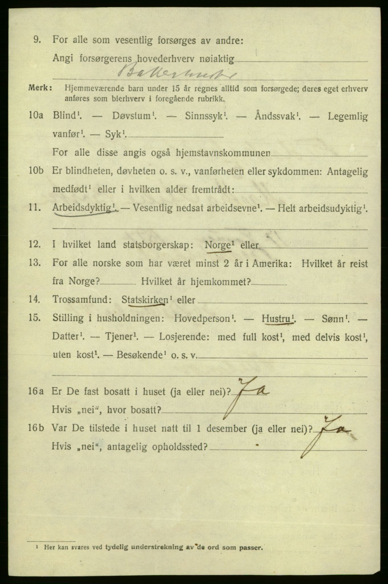 SAO, 1920 census for Fredrikshald, 1920, p. 9321