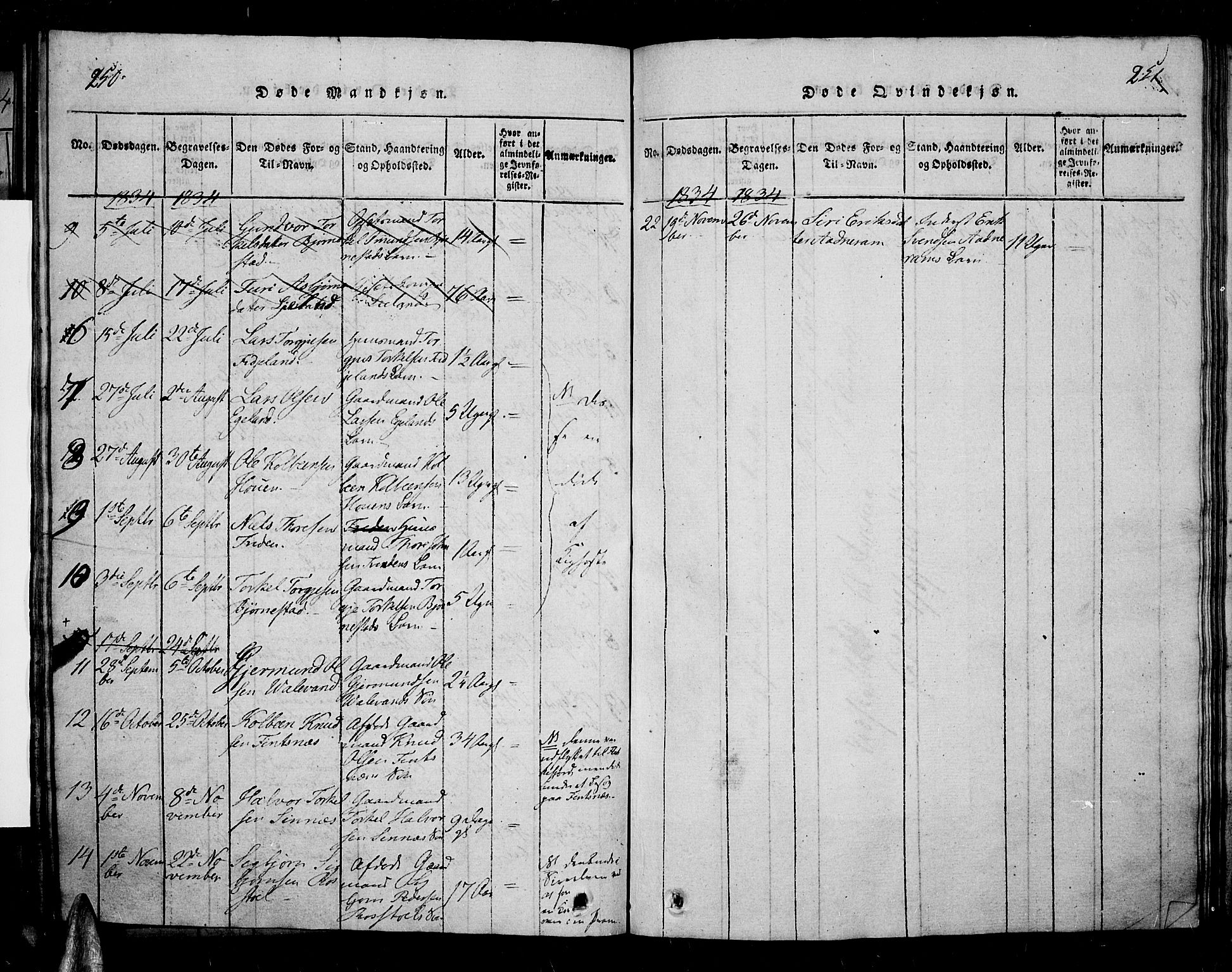 Sirdal sokneprestkontor, AV/SAK-1111-0036/F/Fa/Fab/L0001: Parish register (official) no. A 1, 1815-1834, p. 250-251