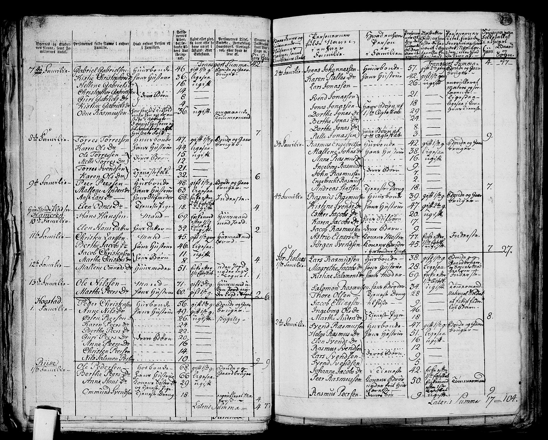 RA, 1801 census for 1124P Håland, 1801, p. 238b-239a