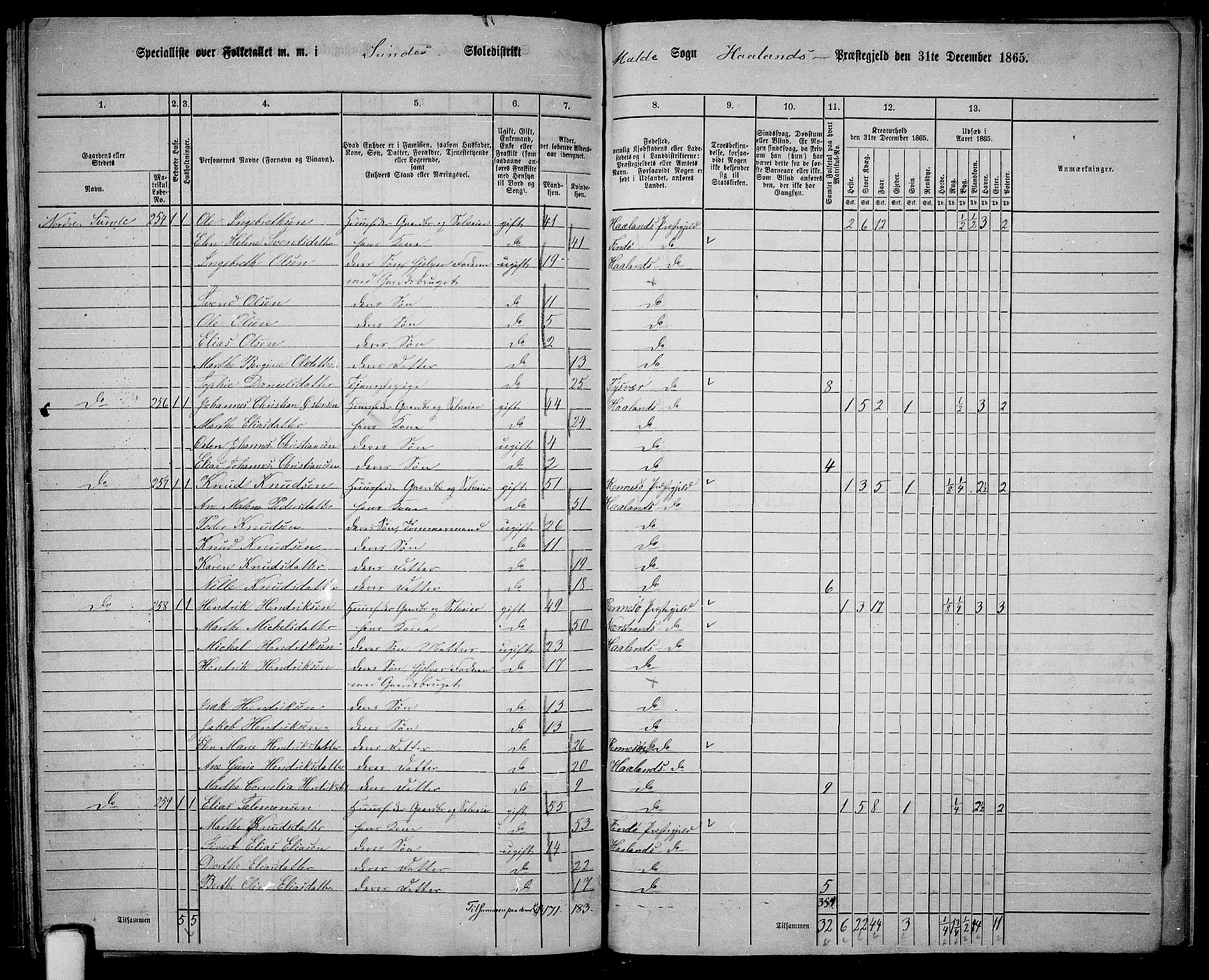 RA, 1865 census for Håland, 1865, p. 116