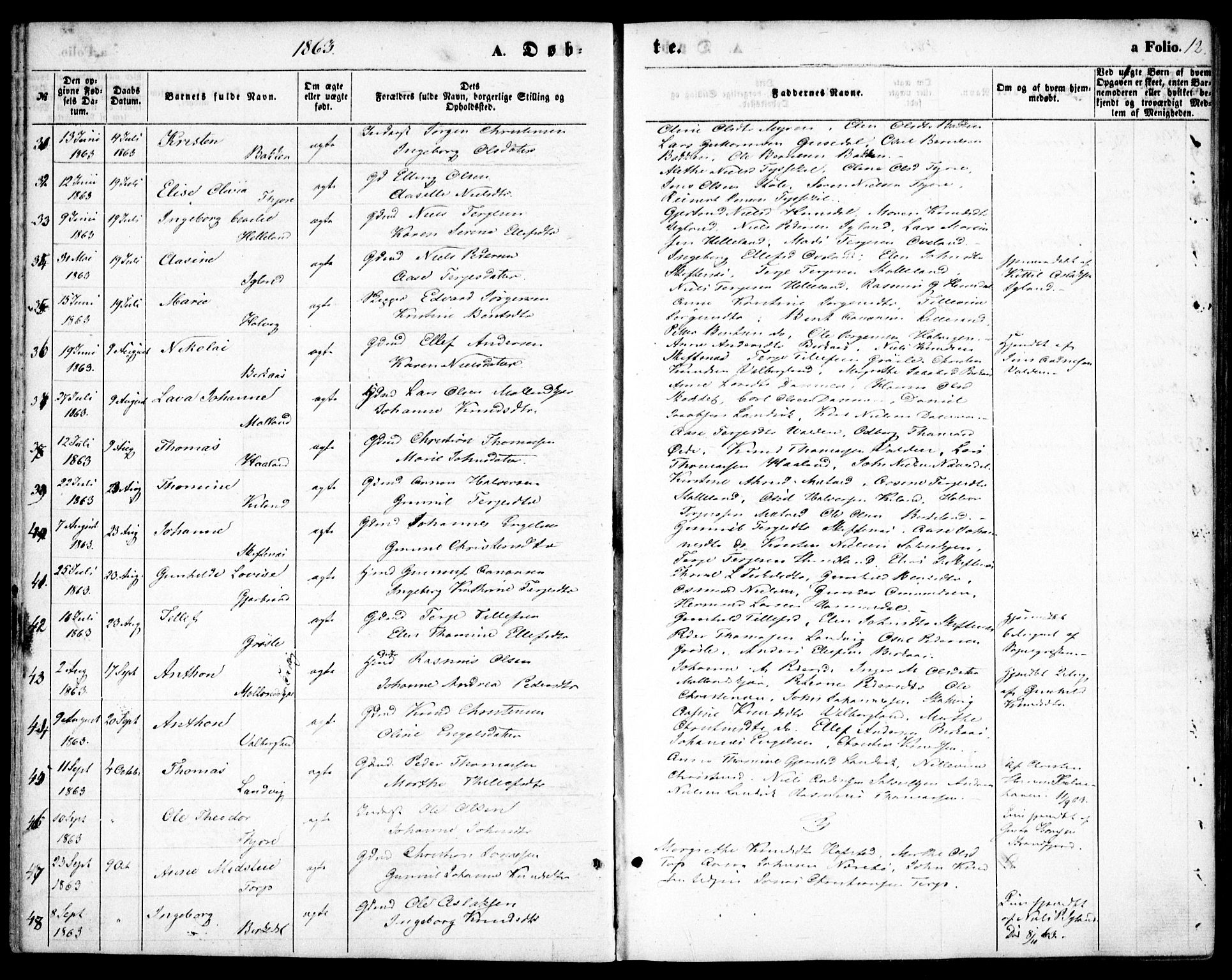 Hommedal sokneprestkontor, AV/SAK-1111-0023/F/Fa/Fab/L0005: Parish register (official) no. A 5, 1861-1877, p. 12