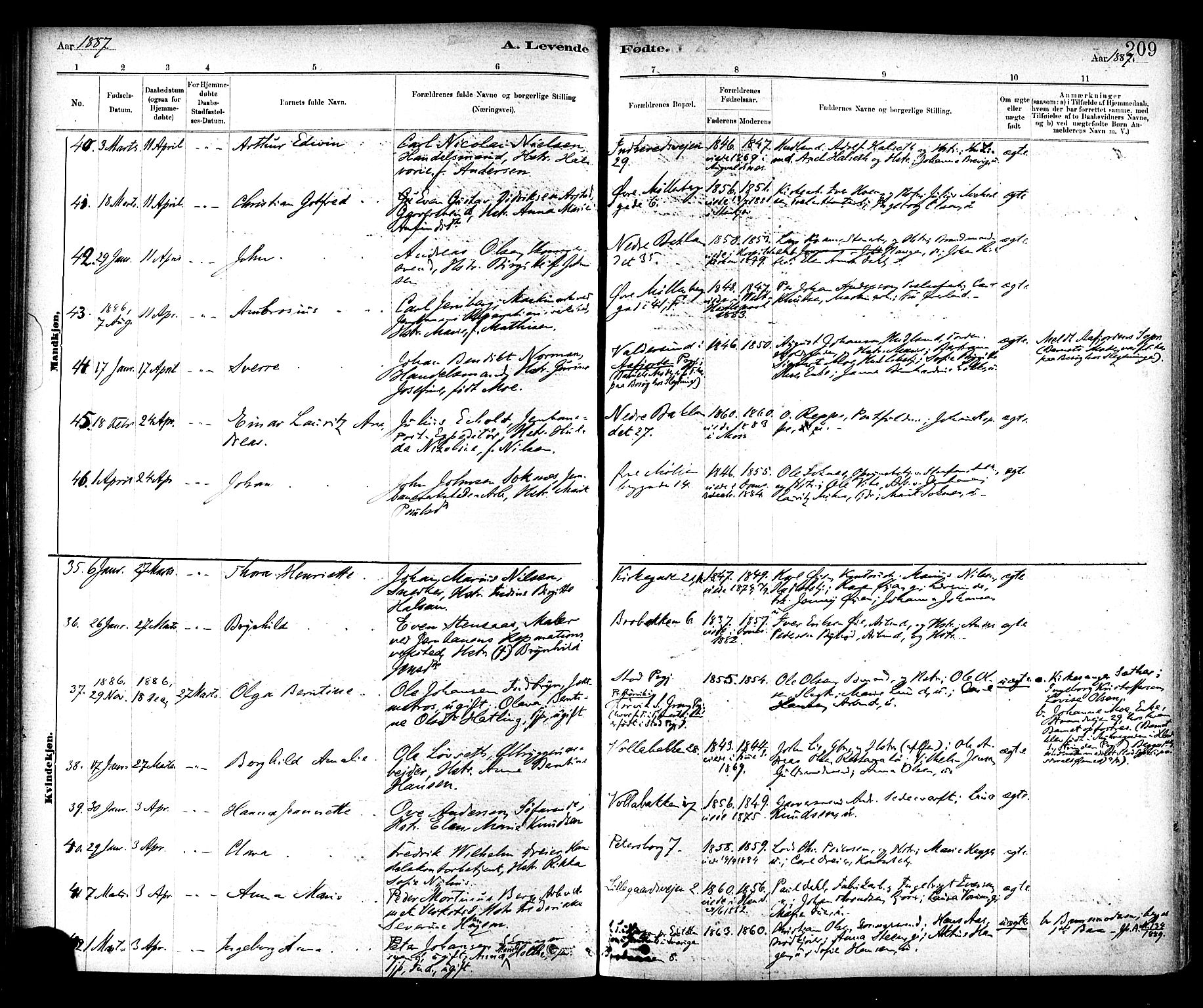 Ministerialprotokoller, klokkerbøker og fødselsregistre - Sør-Trøndelag, AV/SAT-A-1456/604/L0188: Parish register (official) no. 604A09, 1878-1892, p. 209