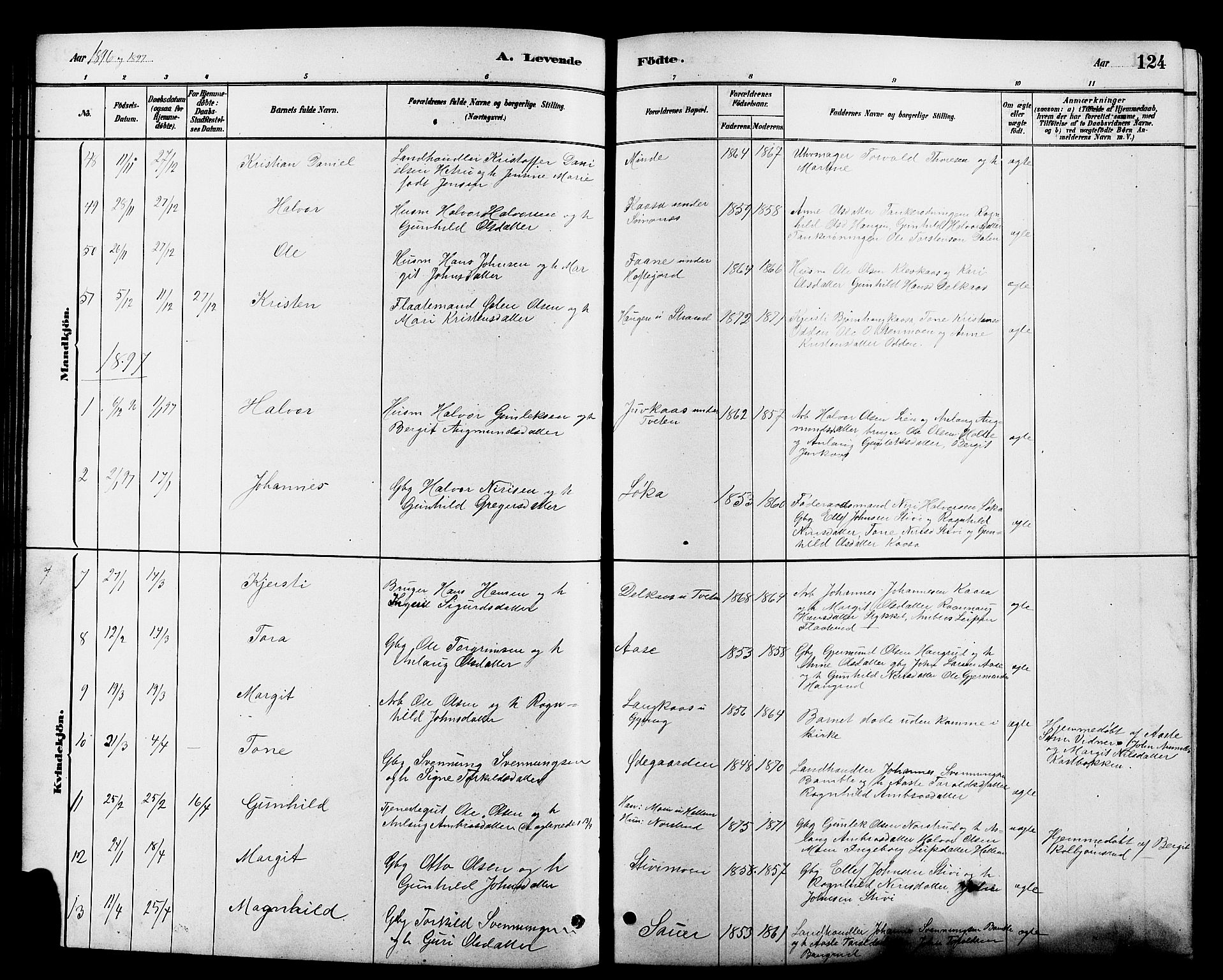 Heddal kirkebøker, AV/SAKO-A-268/G/Ga/L0002: Parish register (copy) no. I 2, 1879-1908, p. 124