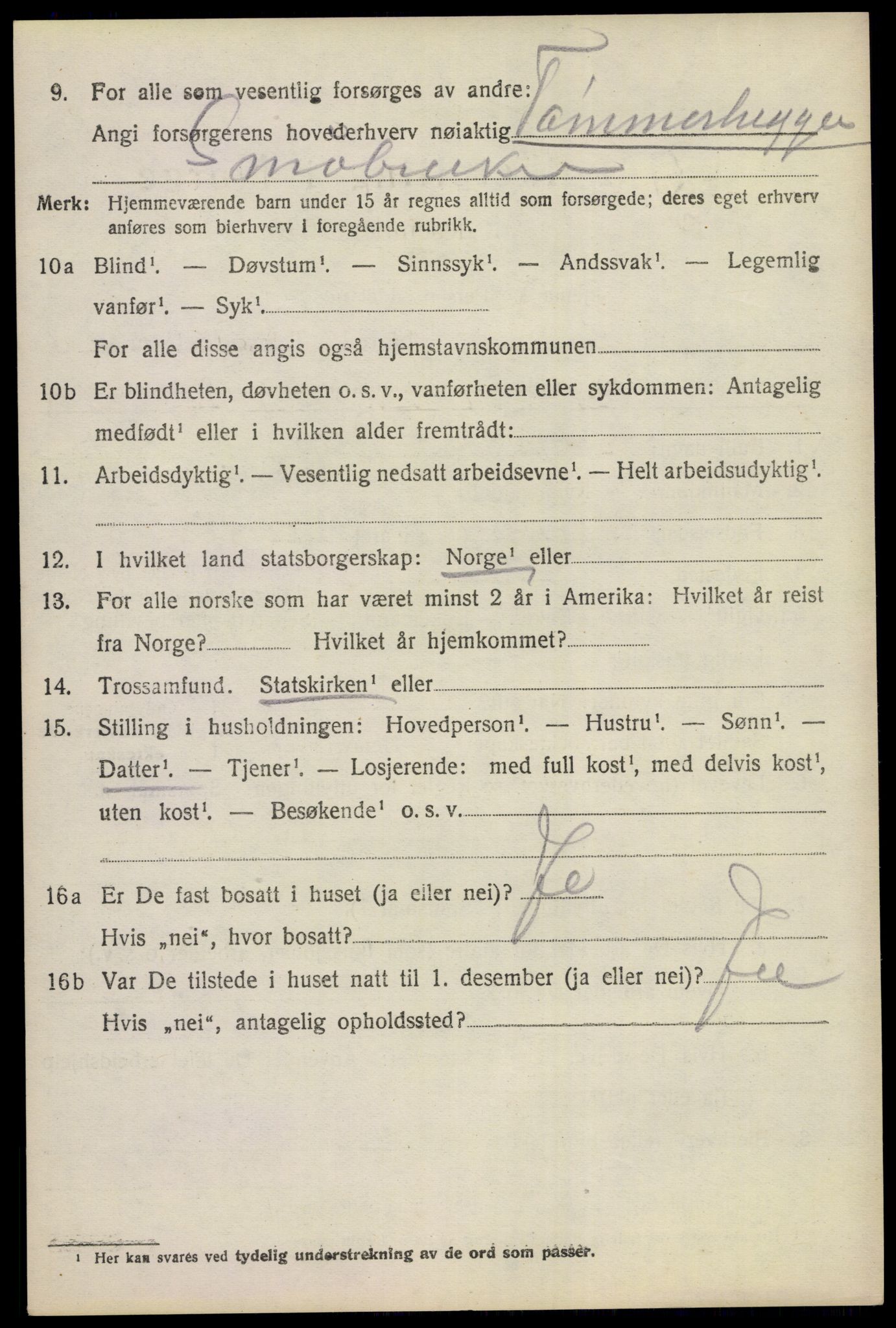 SAKO, 1920 census for Nes (Buskerud), 1920, p. 2873