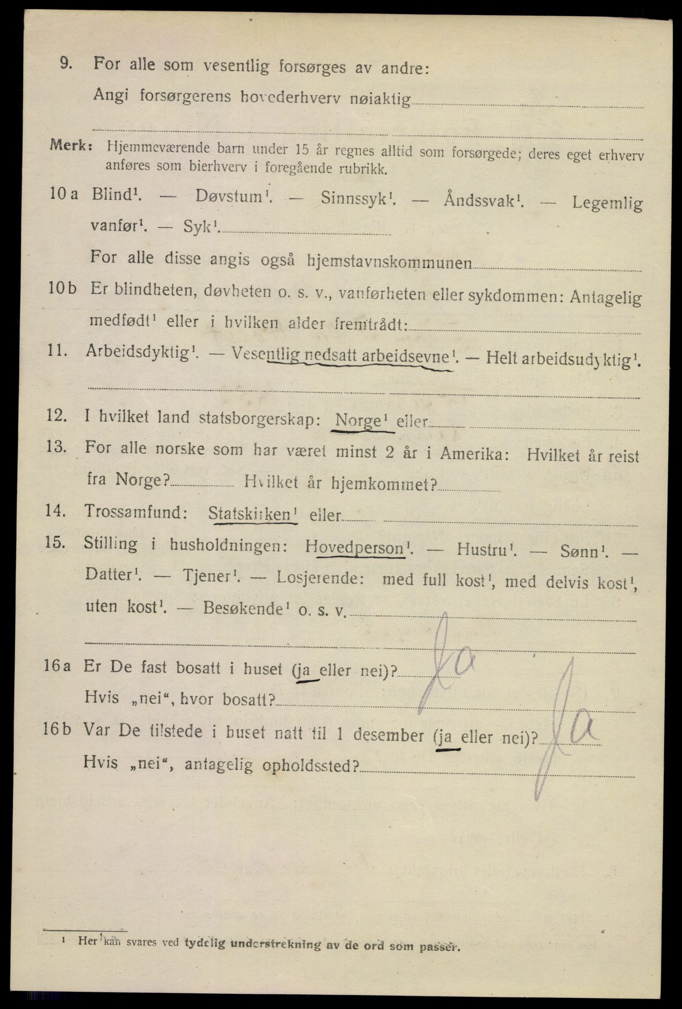 SAKO, 1920 census for Horten, 1920, p. 12066