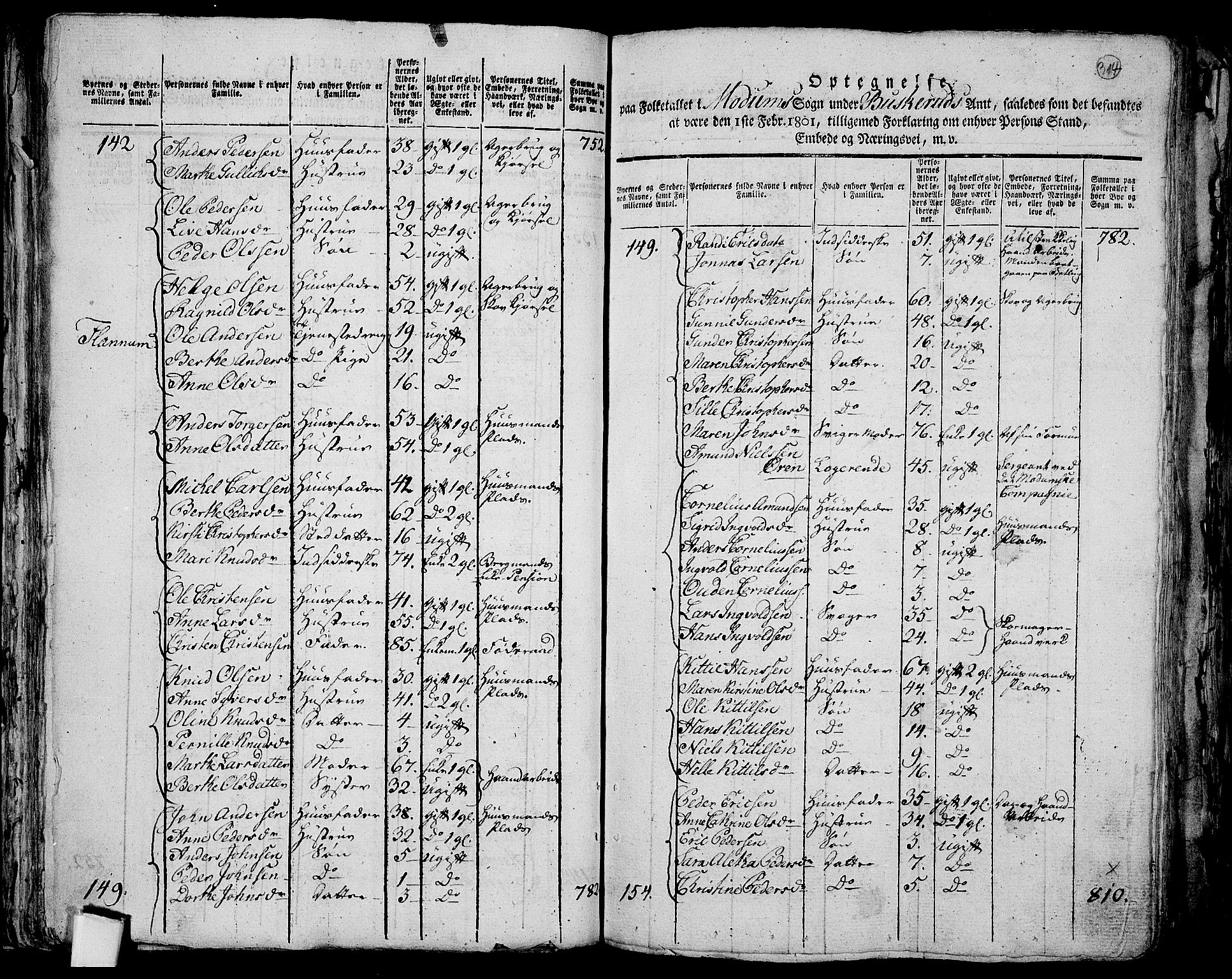 RA, 1801 census for 0623P Modum, 1801, p. 313b-314a
