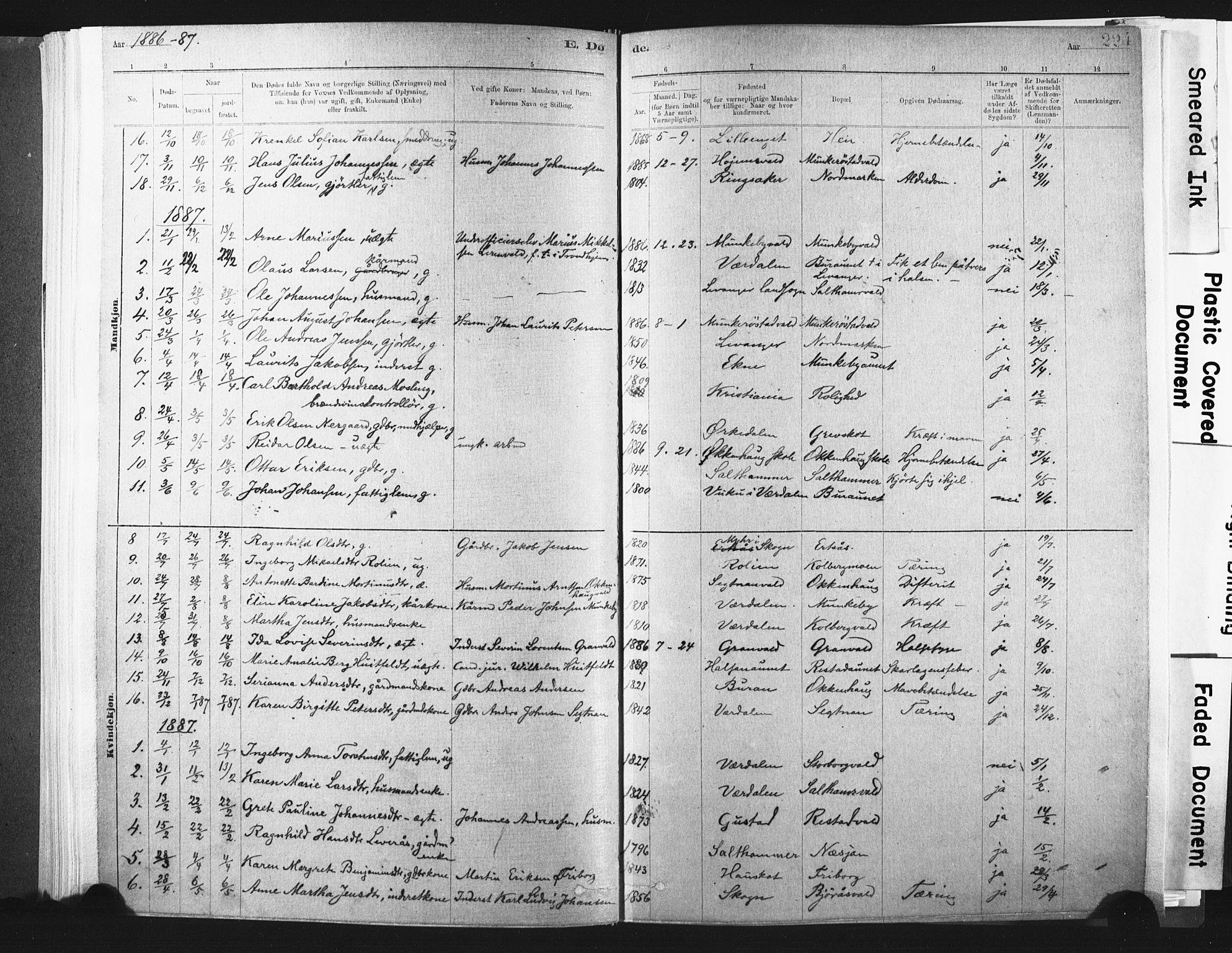 Ministerialprotokoller, klokkerbøker og fødselsregistre - Nord-Trøndelag, SAT/A-1458/721/L0207: Parish register (official) no. 721A02, 1880-1911, p. 224