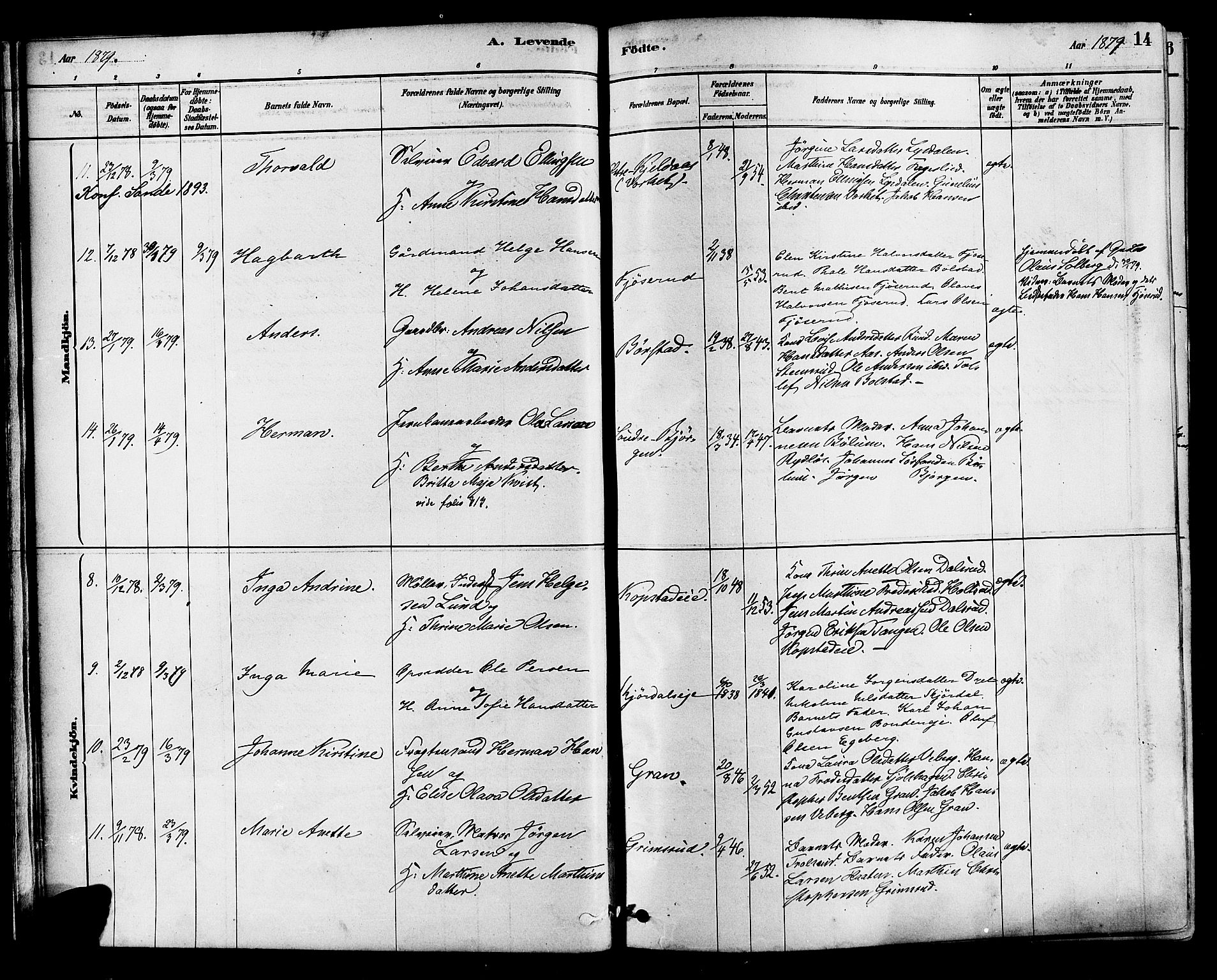 Sande Kirkebøker, AV/SAKO-A-53/F/Fa/L0006: Parish register (official) no. 6, 1878-1888, p. 14