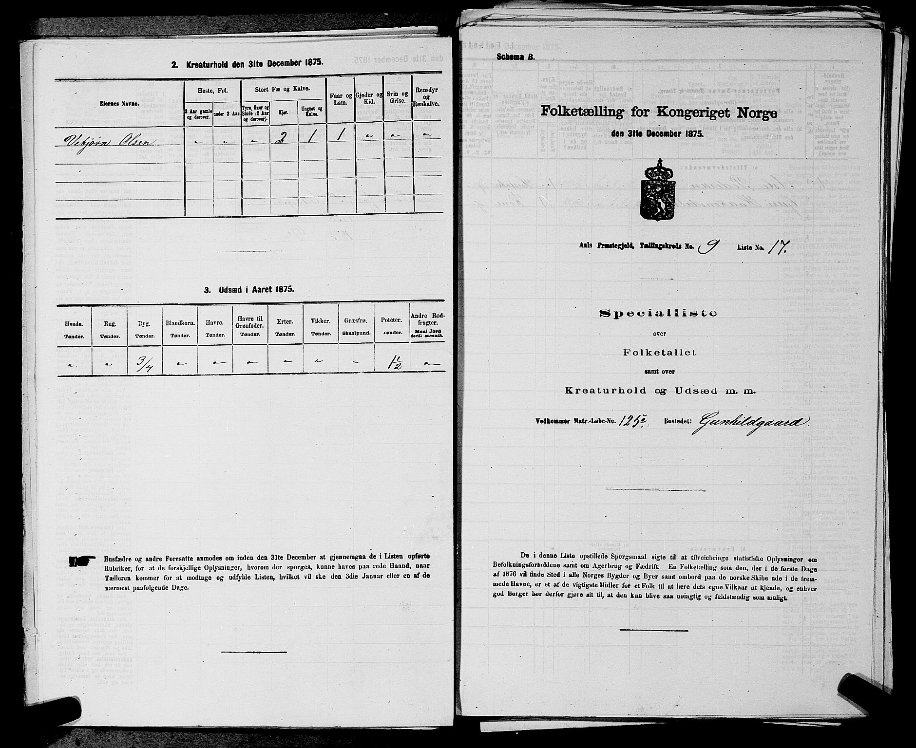 SAKO, 1875 census for 0619P Ål, 1875, p. 1127