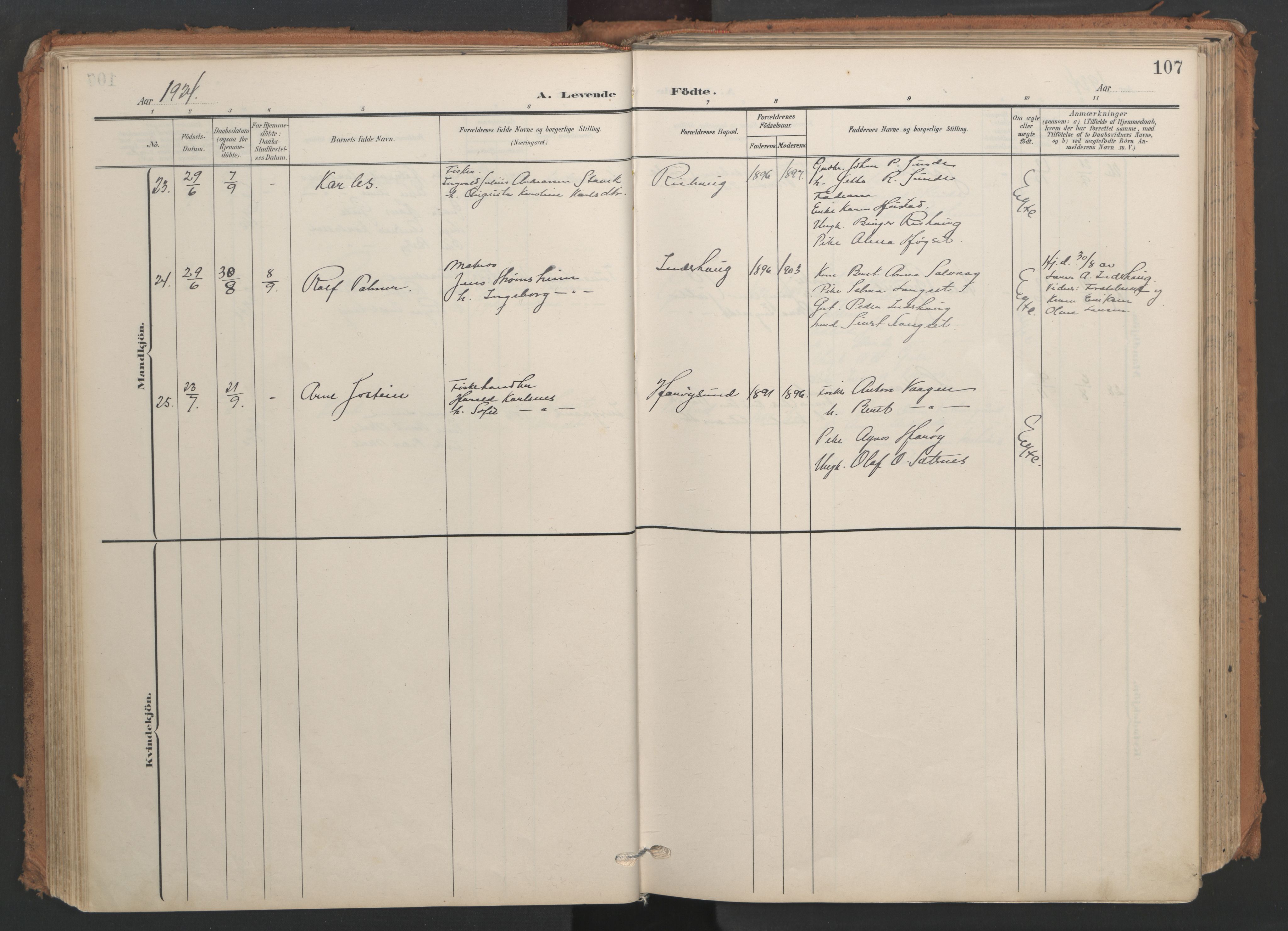 Ministerialprotokoller, klokkerbøker og fødselsregistre - Møre og Romsdal, AV/SAT-A-1454/566/L0771: Parish register (official) no. 566A10, 1904-1929, p. 107