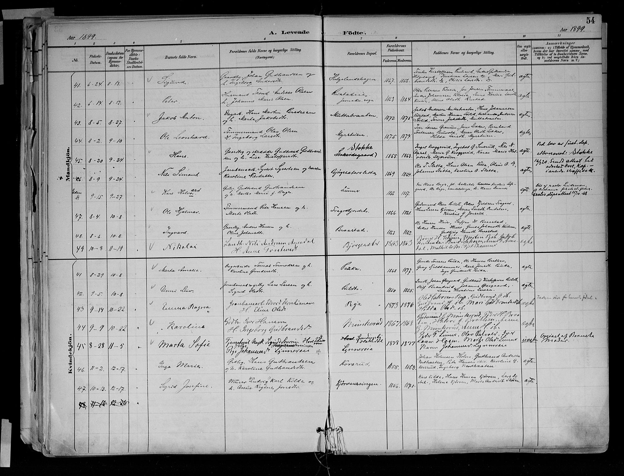 Jevnaker prestekontor, AV/SAH-PREST-116/H/Ha/Haa/L0010: Parish register (official) no. 10, 1891-1906, p. 54