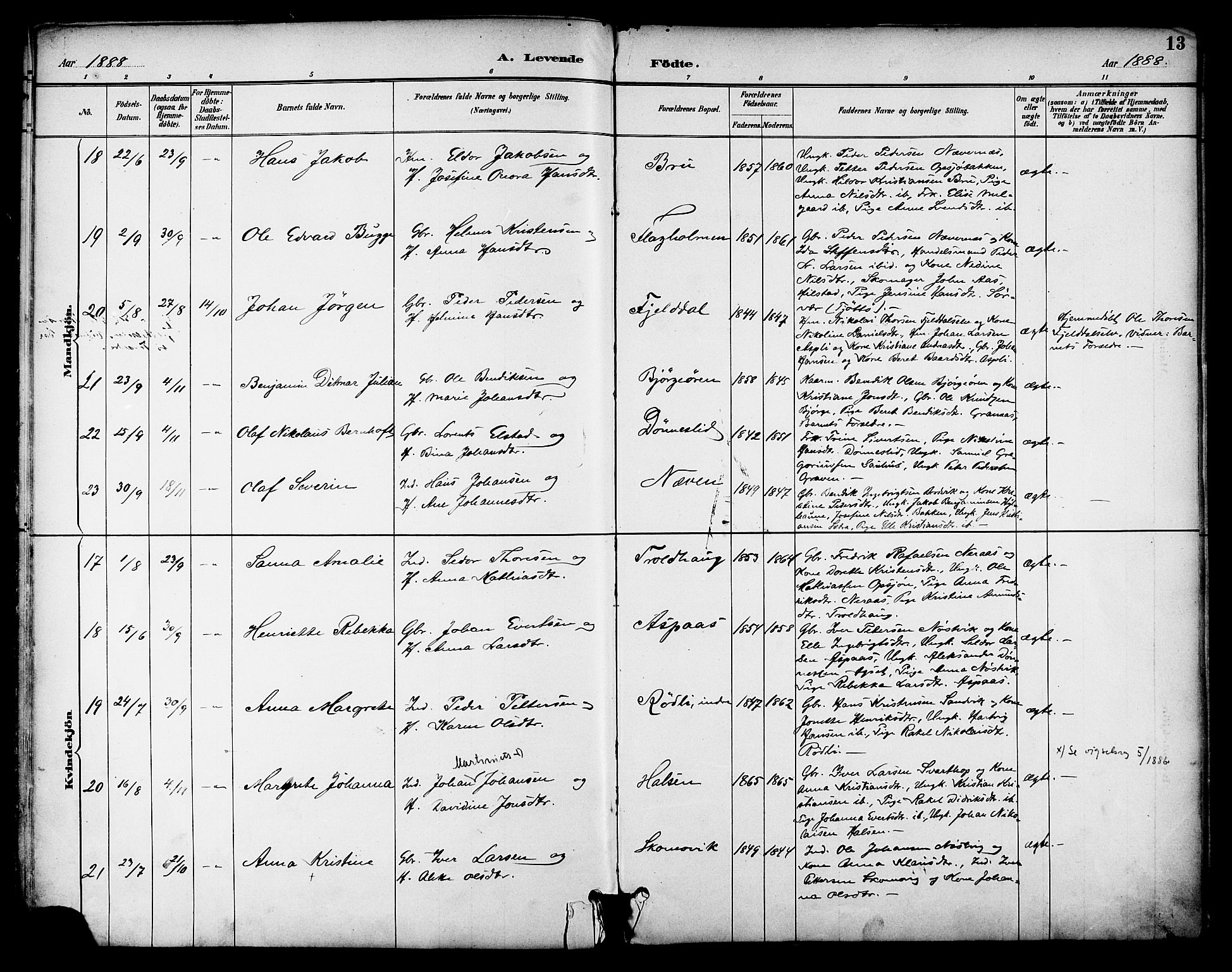 Ministerialprotokoller, klokkerbøker og fødselsregistre - Nordland, AV/SAT-A-1459/814/L0226: Parish register (official) no. 814A07, 1886-1898, p. 13