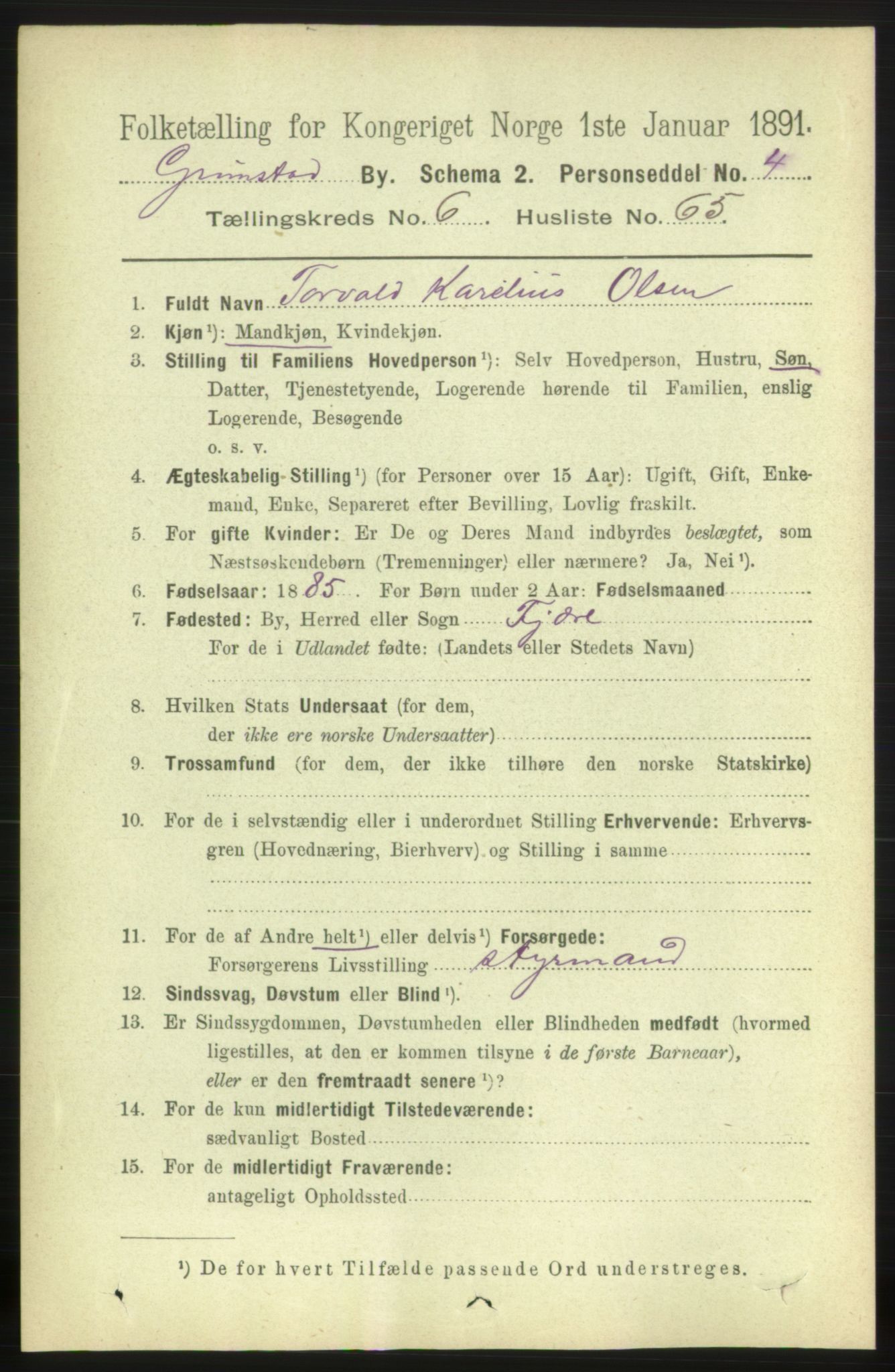 RA, 1891 census for 0904 Grimstad, 1891, p. 4162