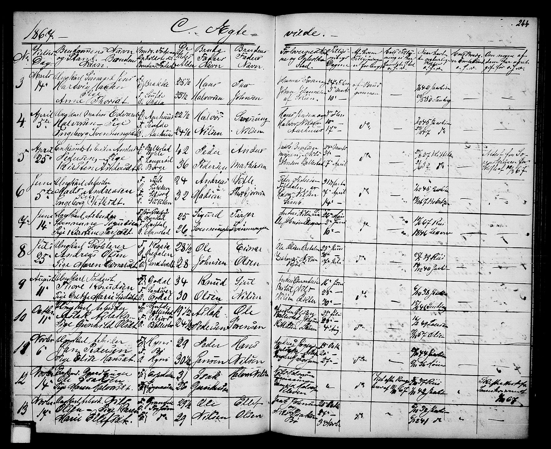 Gjerpen kirkebøker, AV/SAKO-A-265/G/Ga/L0001: Parish register (copy) no. I 1, 1864-1882, p. 244