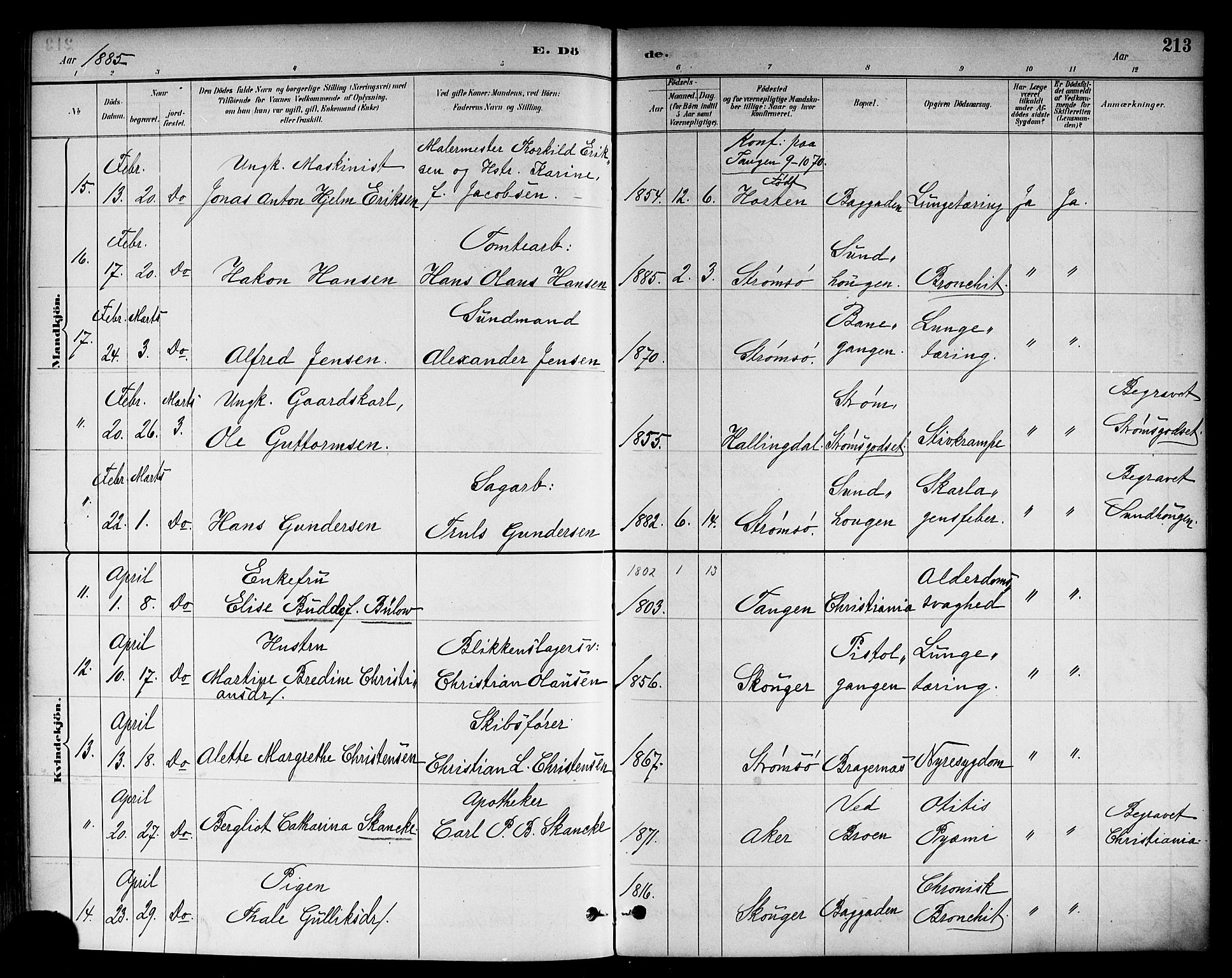 Strømsø kirkebøker, AV/SAKO-A-246/F/Fa/L0023: Parish register (official) no. I 23, 1885-1894, p. 213