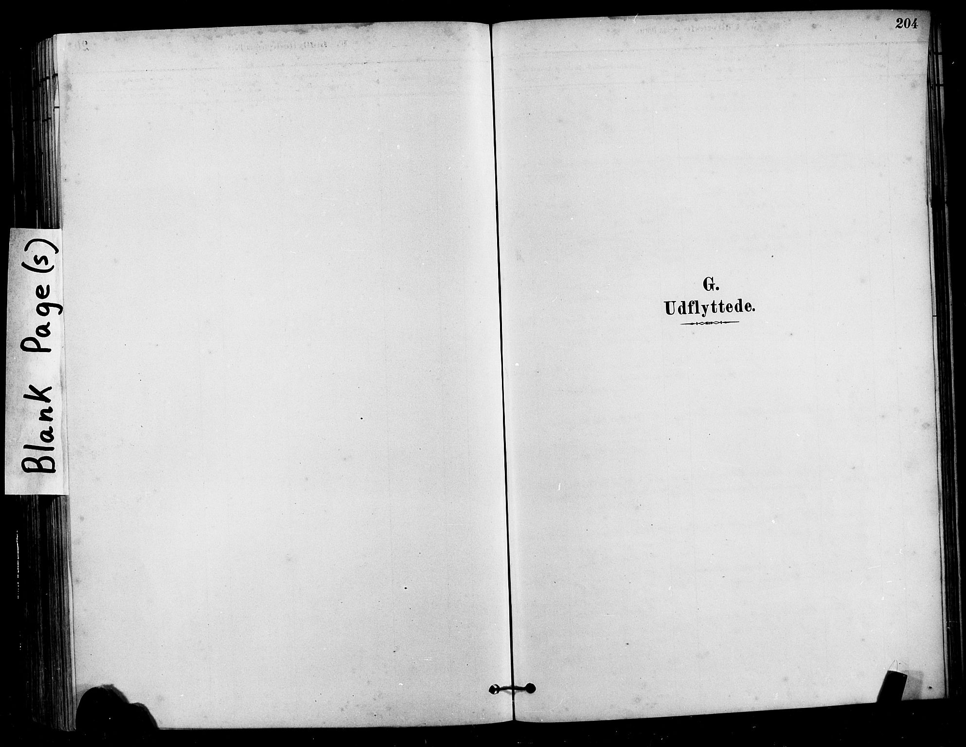 Ministerialprotokoller, klokkerbøker og fødselsregistre - Møre og Romsdal, SAT/A-1454/525/L0376: Parish register (copy) no. 525C02, 1880-1902, p. 204