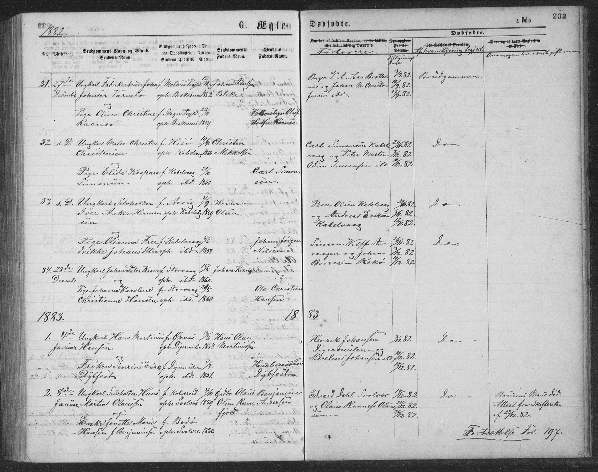 Ministerialprotokoller, klokkerbøker og fødselsregistre - Nordland, SAT/A-1459/874/L1075: Parish register (copy) no. 874C04, 1876-1883, p. 233