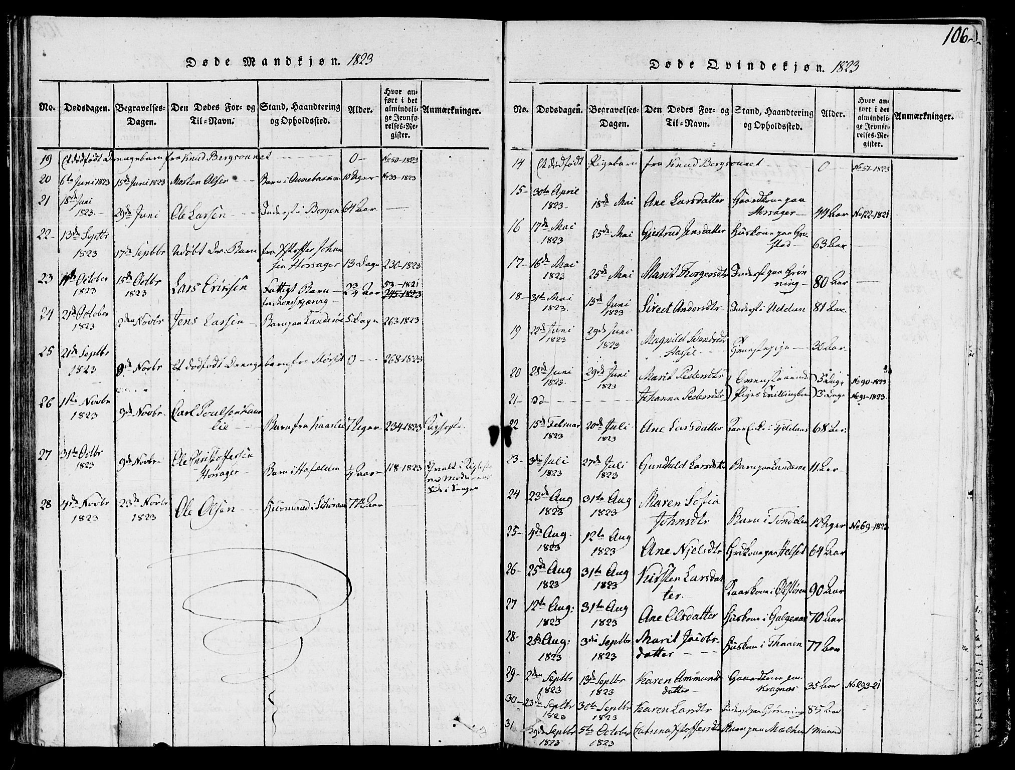 Ministerialprotokoller, klokkerbøker og fødselsregistre - Sør-Trøndelag, SAT/A-1456/646/L0608: Parish register (official) no. 646A06, 1816-1825, p. 106