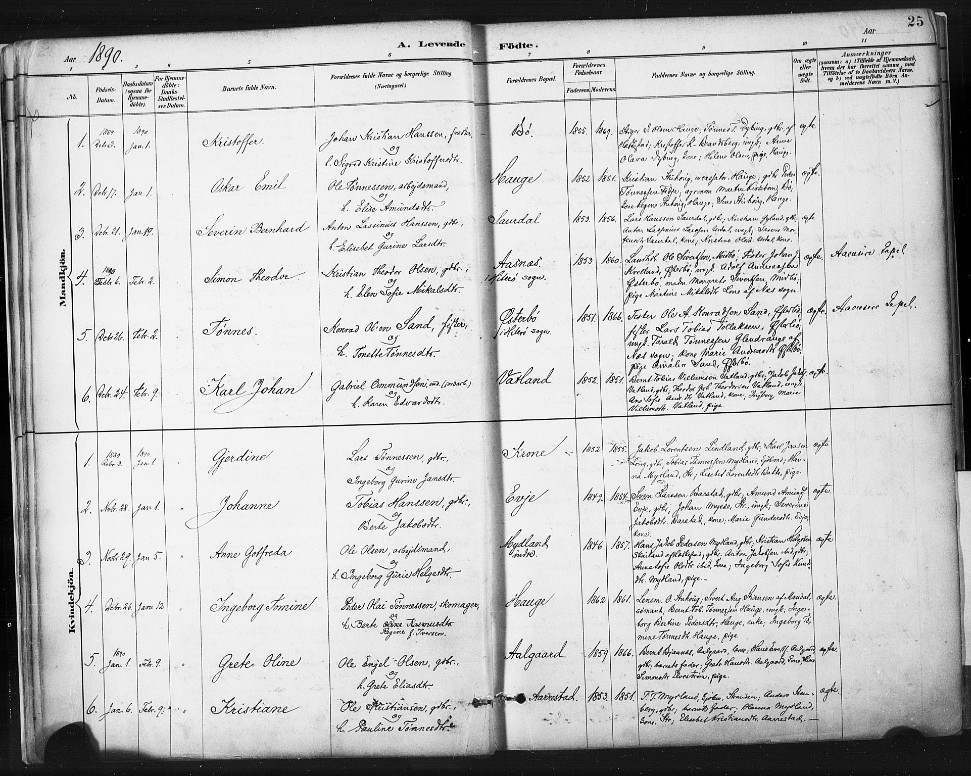 Sokndal sokneprestkontor, AV/SAST-A-101808: Parish register (official) no. A 11.1, 1887-1905, p. 25