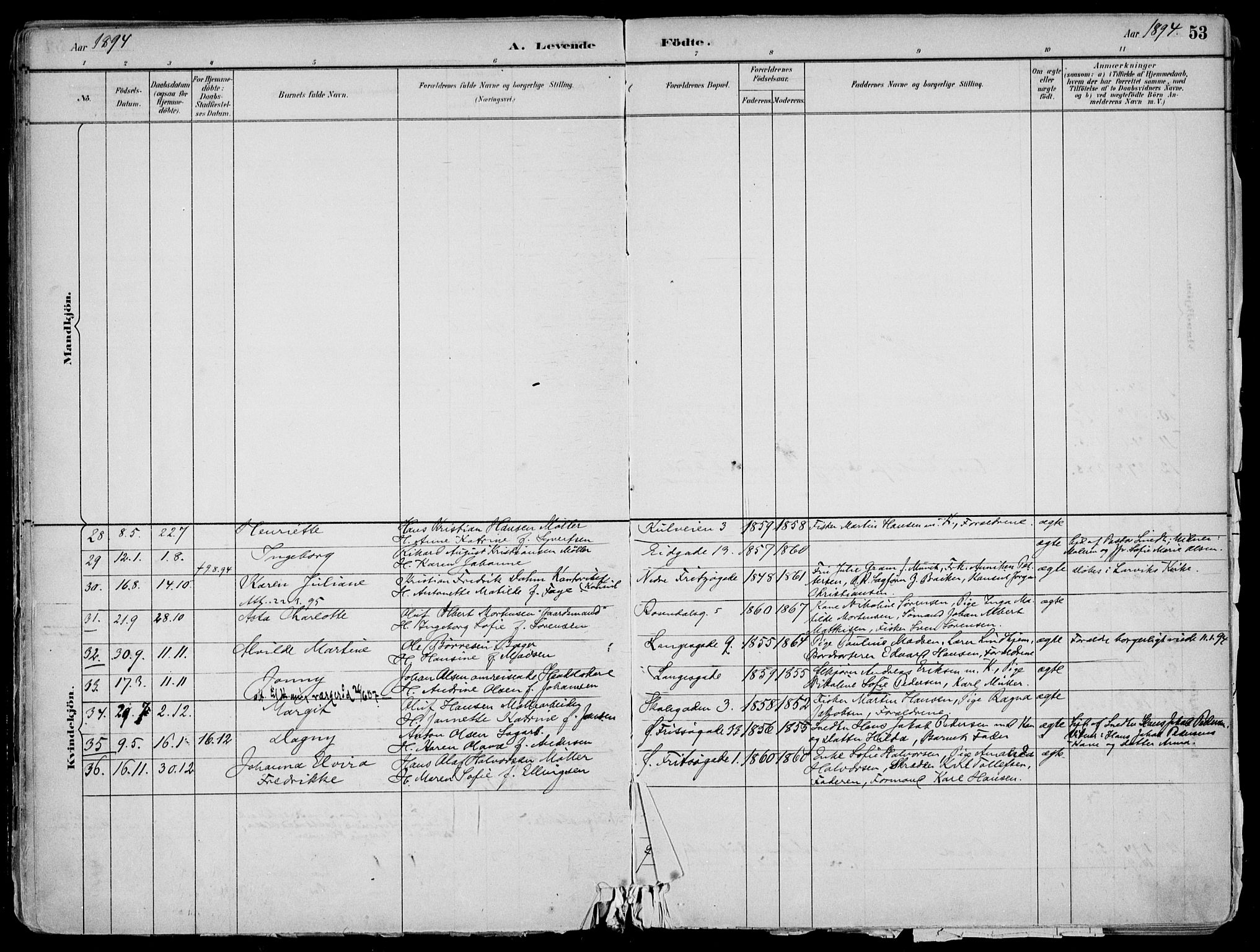 Larvik kirkebøker, AV/SAKO-A-352/F/Fb/L0004: Parish register (official) no. II 4, 1884-1902, p. 53