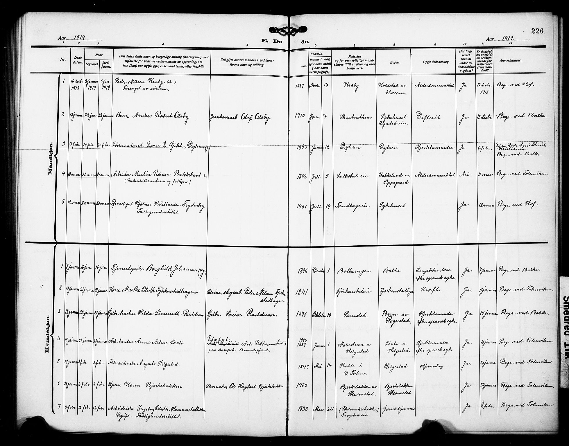 Østre Toten prestekontor, AV/SAH-PREST-104/H/Ha/Hab/L0008: Parish register (copy) no. 8, 1913-1929, p. 226