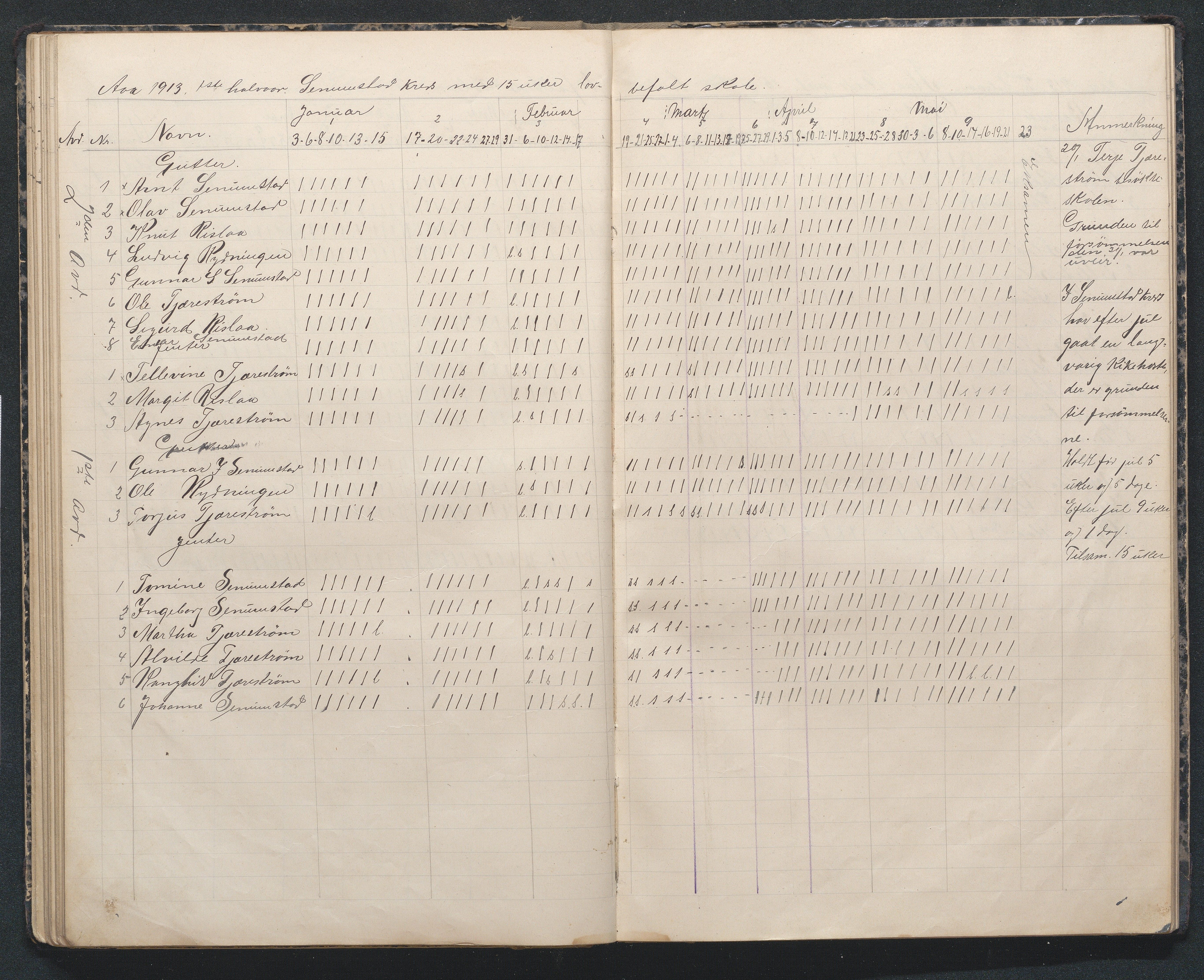 Birkenes kommune, Flå, Senumstad og Rislå skolekretser frem til 1991, AAMA/KA0928-550b_91/F02/L0002: Dagbok for Flå og Senumstad, 1903-1945