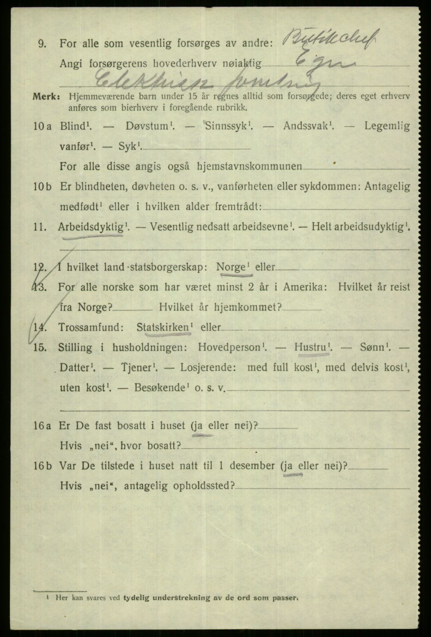 SAB, 1920 census for Bergen, 1920, p. 236133