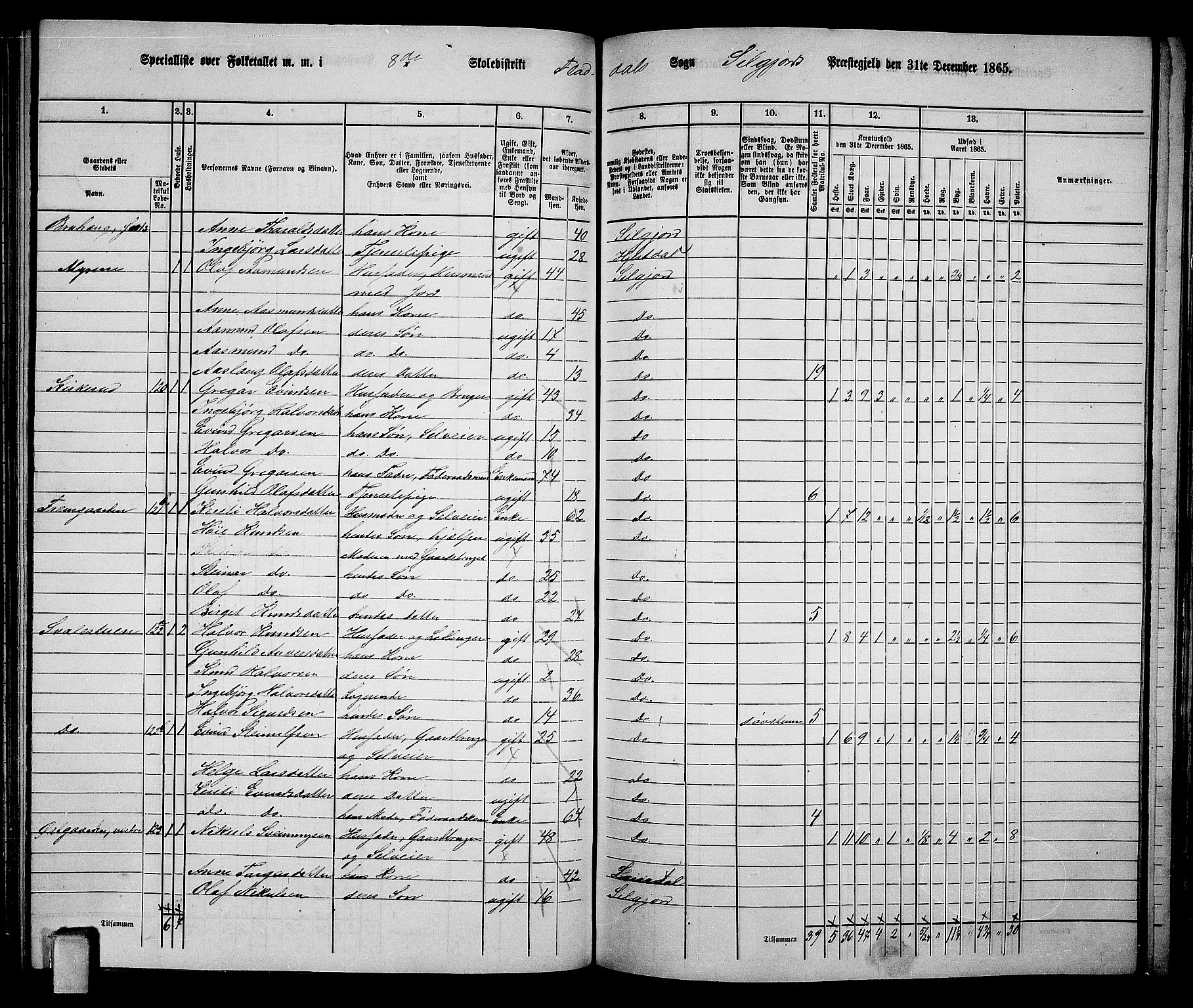 RA, 1865 census for Seljord, 1865, p. 113