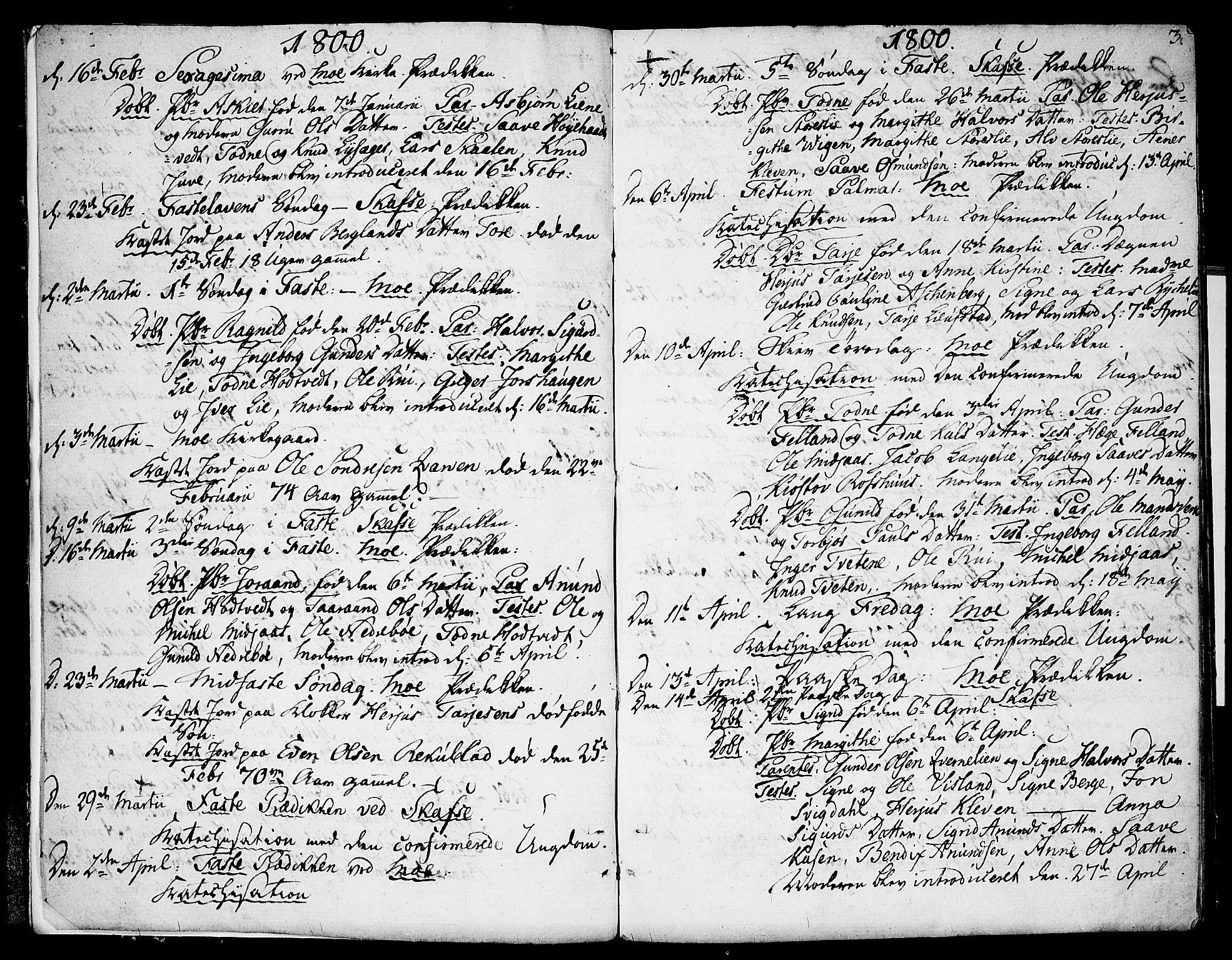 Mo kirkebøker, AV/SAKO-A-286/F/Fa/L0003: Parish register (official) no. I 3, 1800-1814, p. 3