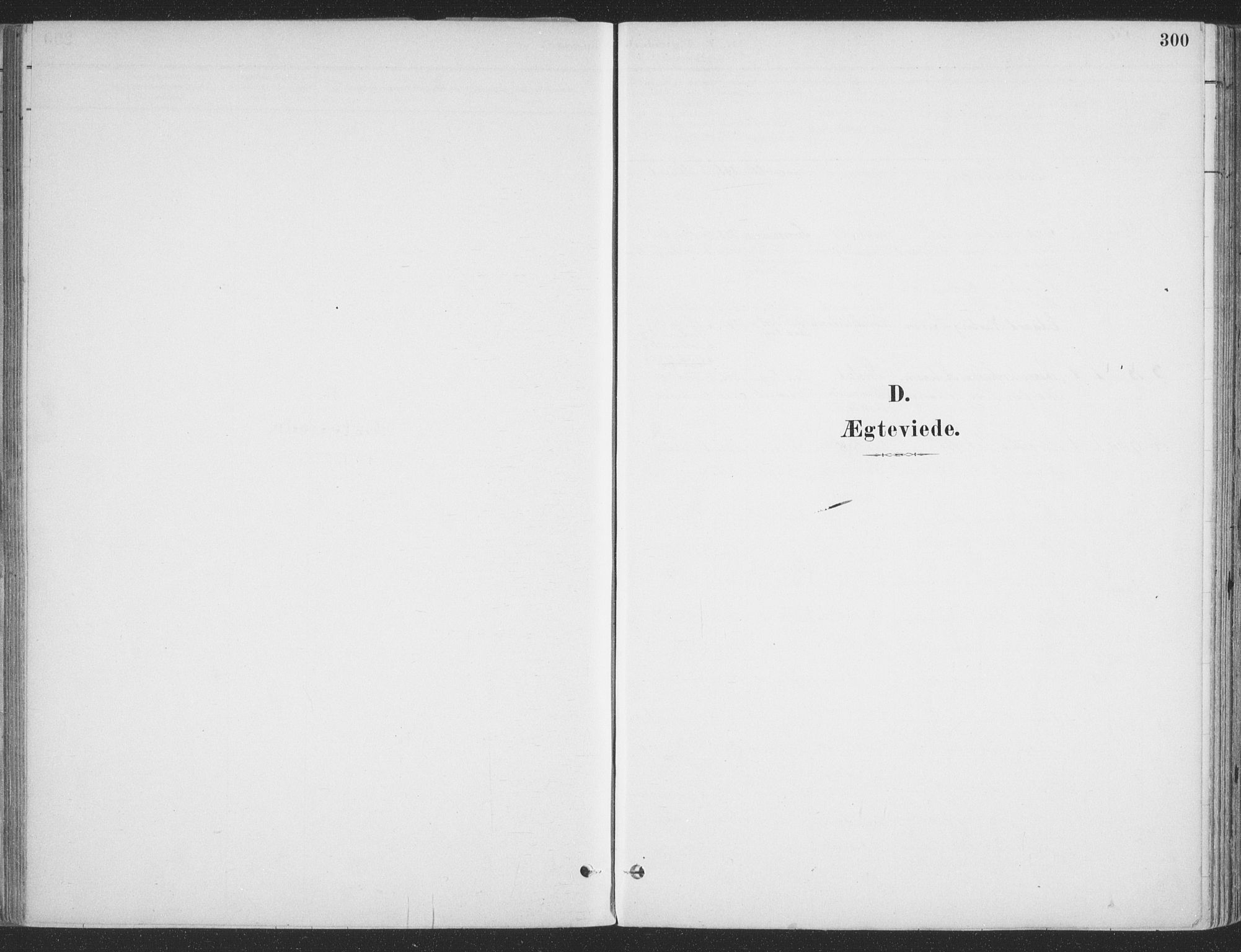 Ibestad sokneprestembete, SATØ/S-0077/H/Ha/Haa/L0011kirke: Parish register (official) no. 11, 1880-1889, p. 300