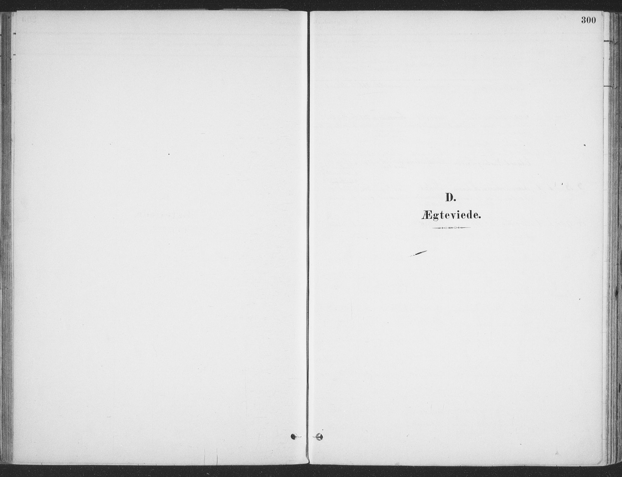 Ibestad sokneprestembete, AV/SATØ-S-0077/H/Ha/Haa/L0011kirke: Parish register (official) no. 11, 1880-1889, p. 300