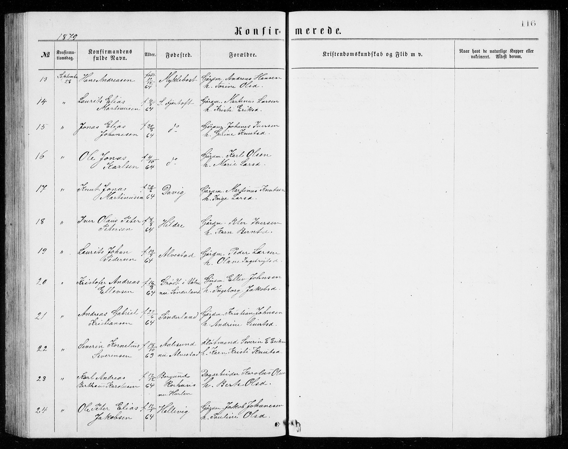 Ministerialprotokoller, klokkerbøker og fødselsregistre - Møre og Romsdal, AV/SAT-A-1454/536/L0509: Parish register (copy) no. 536C04, 1871-1881, p. 116