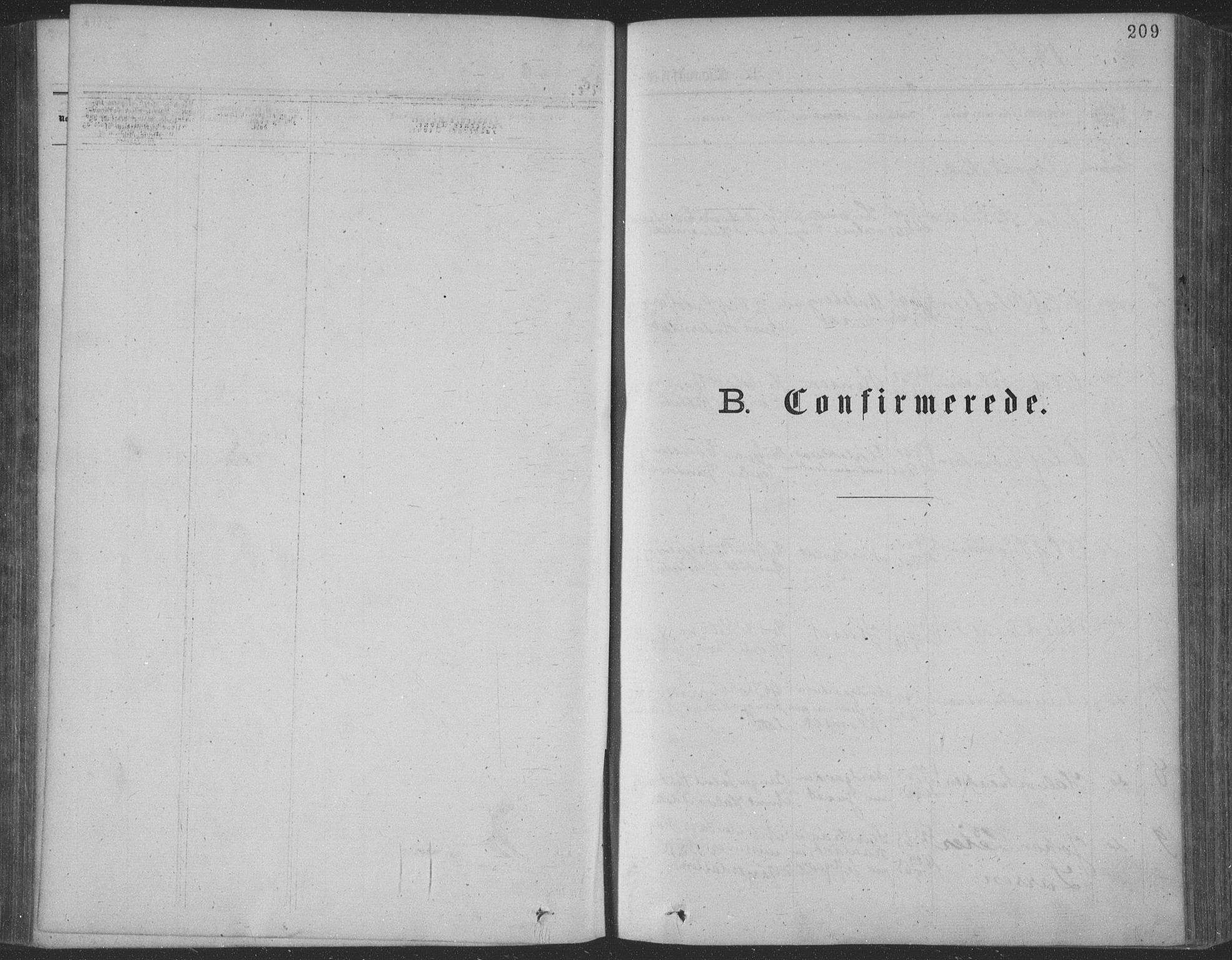 Seljord kirkebøker, SAKO/A-20/F/Fa/L0014: Parish register (official) no. I 14, 1877-1886, p. 209