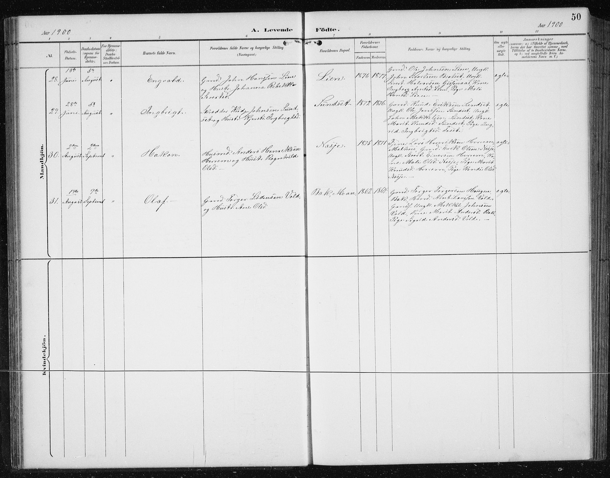 Ministerialprotokoller, klokkerbøker og fødselsregistre - Sør-Trøndelag, AV/SAT-A-1456/674/L0876: Parish register (copy) no. 674C03, 1892-1912, p. 50