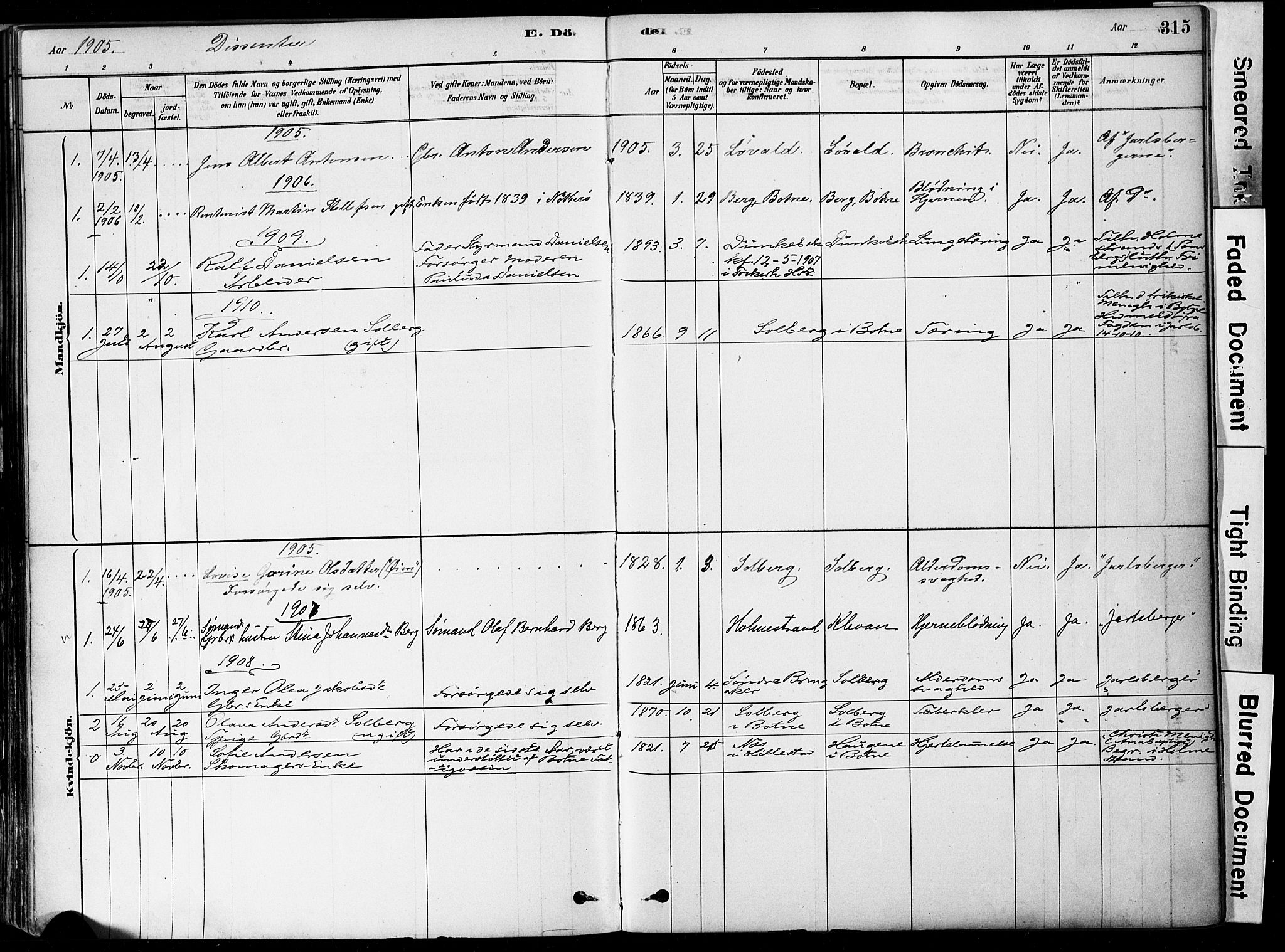 Botne kirkebøker, SAKO/A-340/F/Fa/L0007: Parish register (official) no. I 7, 1878-1910, p. 315