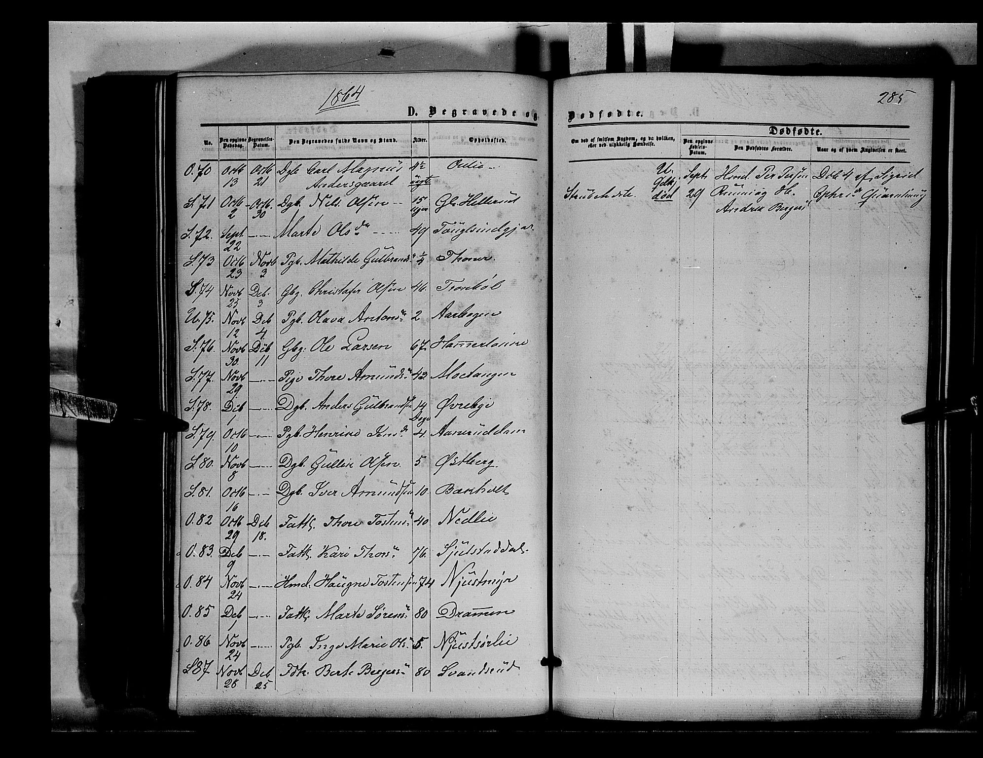 Sør-Odal prestekontor, AV/SAH-PREST-030/H/Ha/Haa/L0003: Parish register (official) no. 3, 1864-1870, p. 285