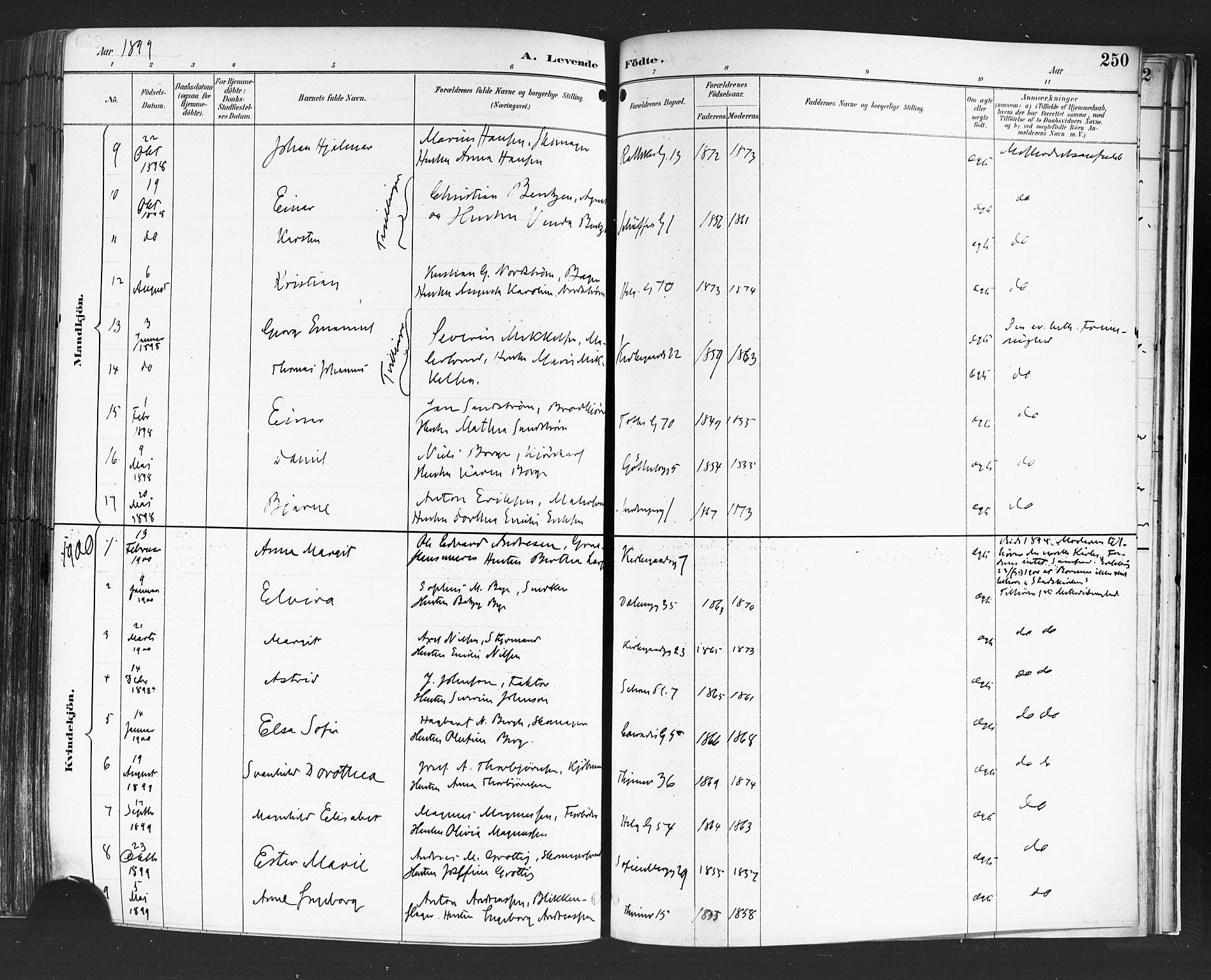 Petrus prestekontor Kirkebøker, AV/SAO-A-10872/F/Fa/L0004: Parish register (official) no. I 4, 1888-1898, p. 250