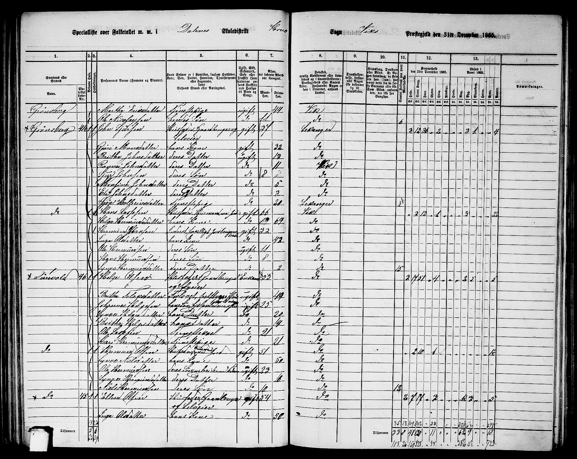RA, 1865 census for Vik, 1865, p. 61