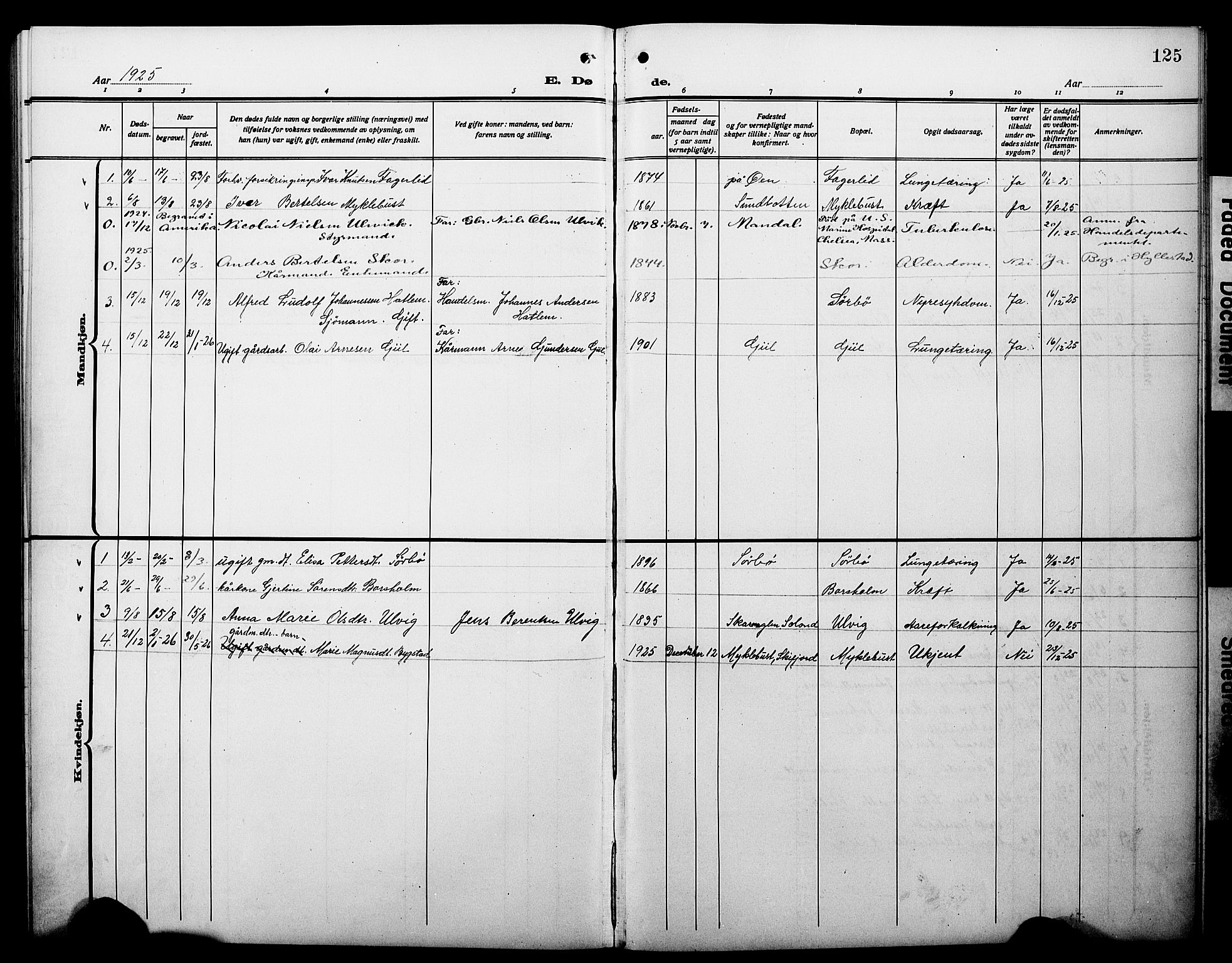 Hyllestad sokneprestembete, SAB/A-80401: Parish register (copy) no. C 4, 1914-1927, p. 125