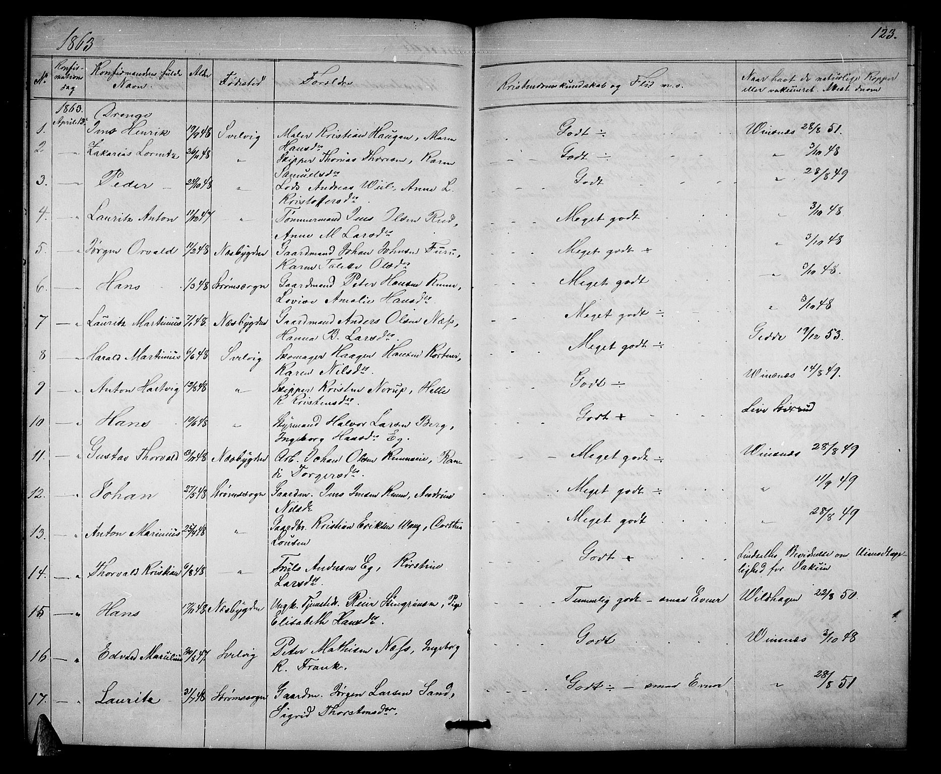 Strømm kirkebøker, AV/SAKO-A-322/G/Ga/L0001: Parish register (copy) no. I 1, 1861-1885, p. 123