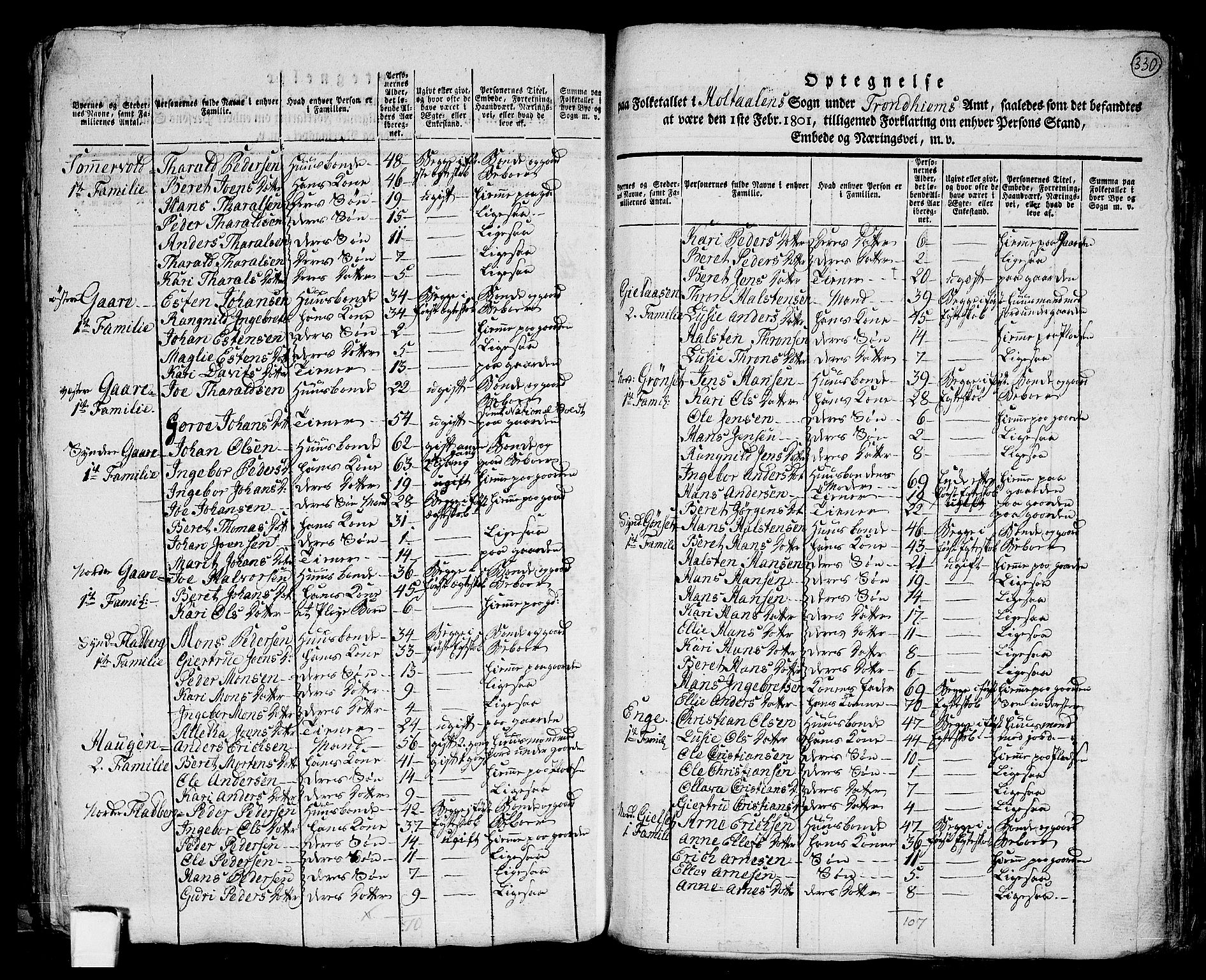 RA, 1801 census for 1645P Haltdalen, 1801, p. 329b-330a