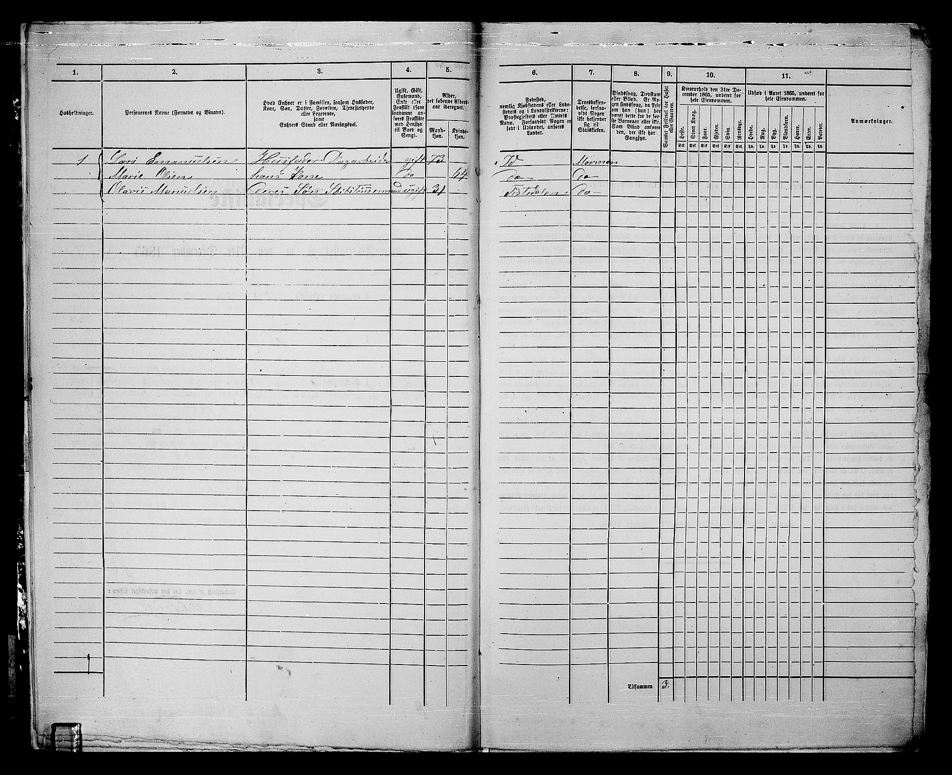 RA, 1865 census for Fredrikshald, 1865, p. 812